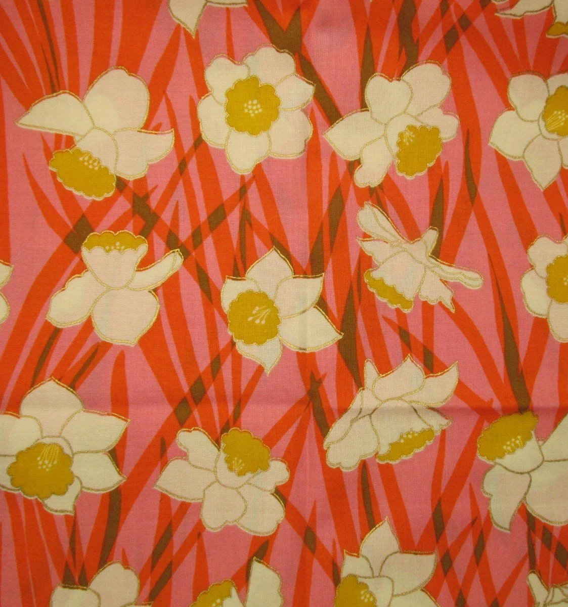 Ruby Star Reverie Daffodils in Sorbet