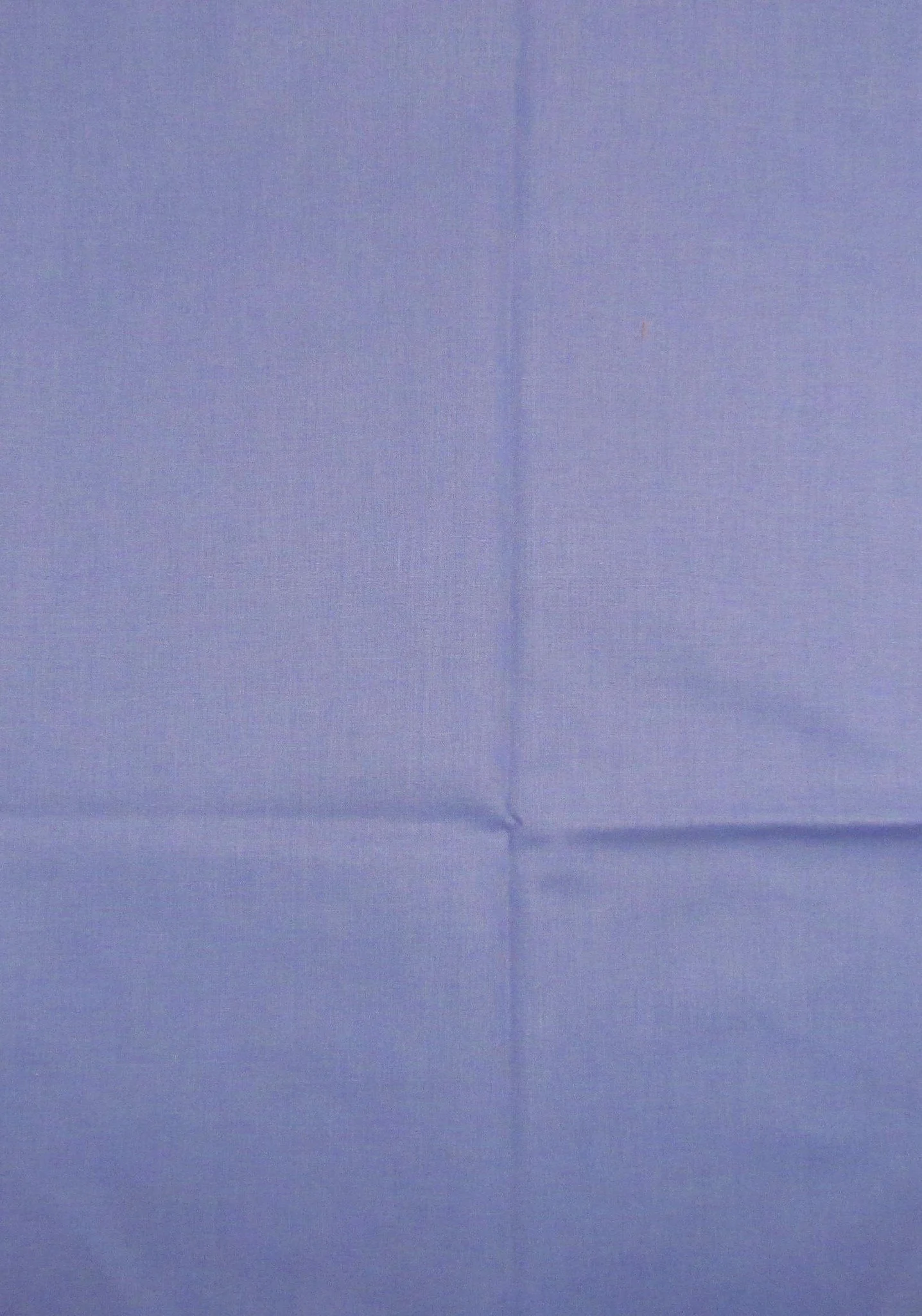 Ruby Bee Solids Wisteria