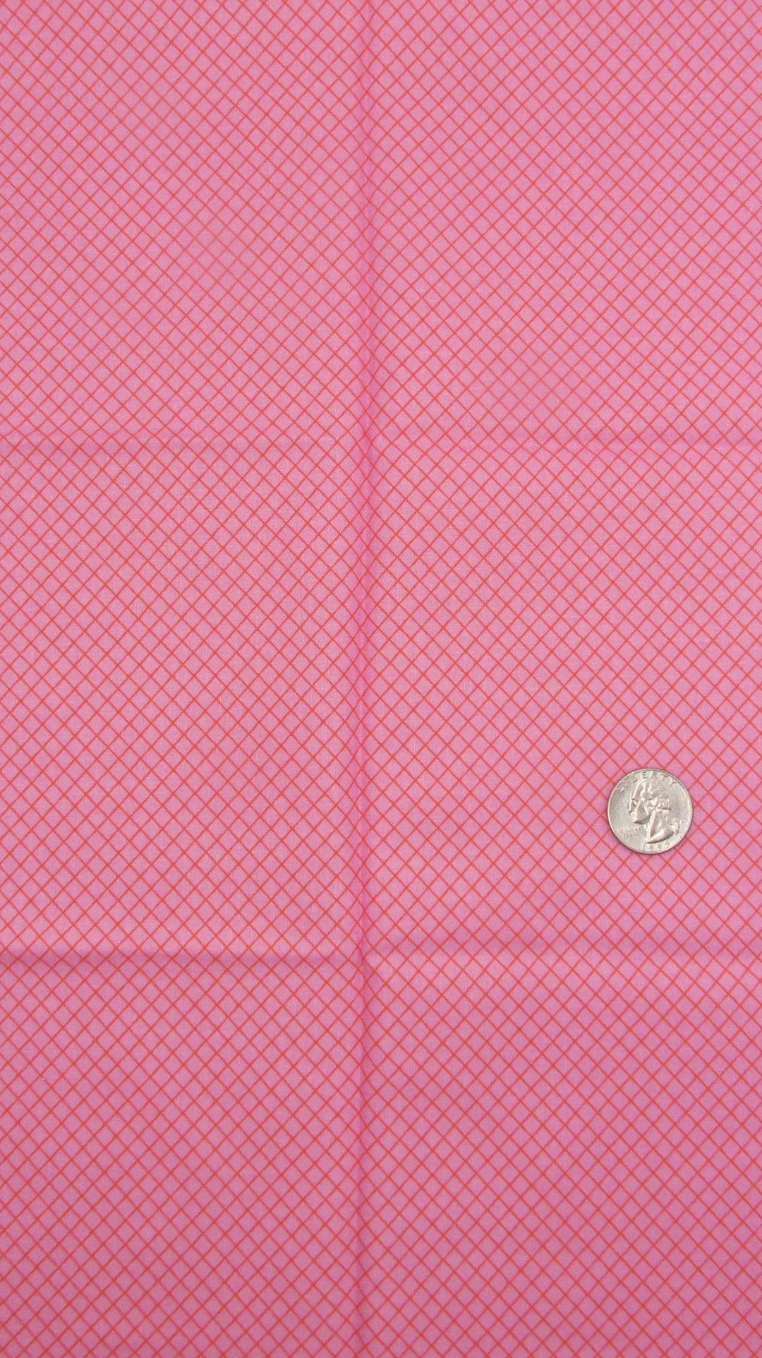 Tula Pink On the Grid in Bubblegum Pink