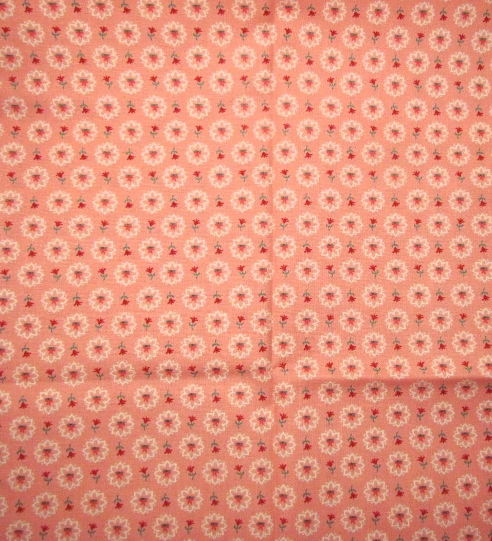 Riley Blake Berry and Sage in Coral