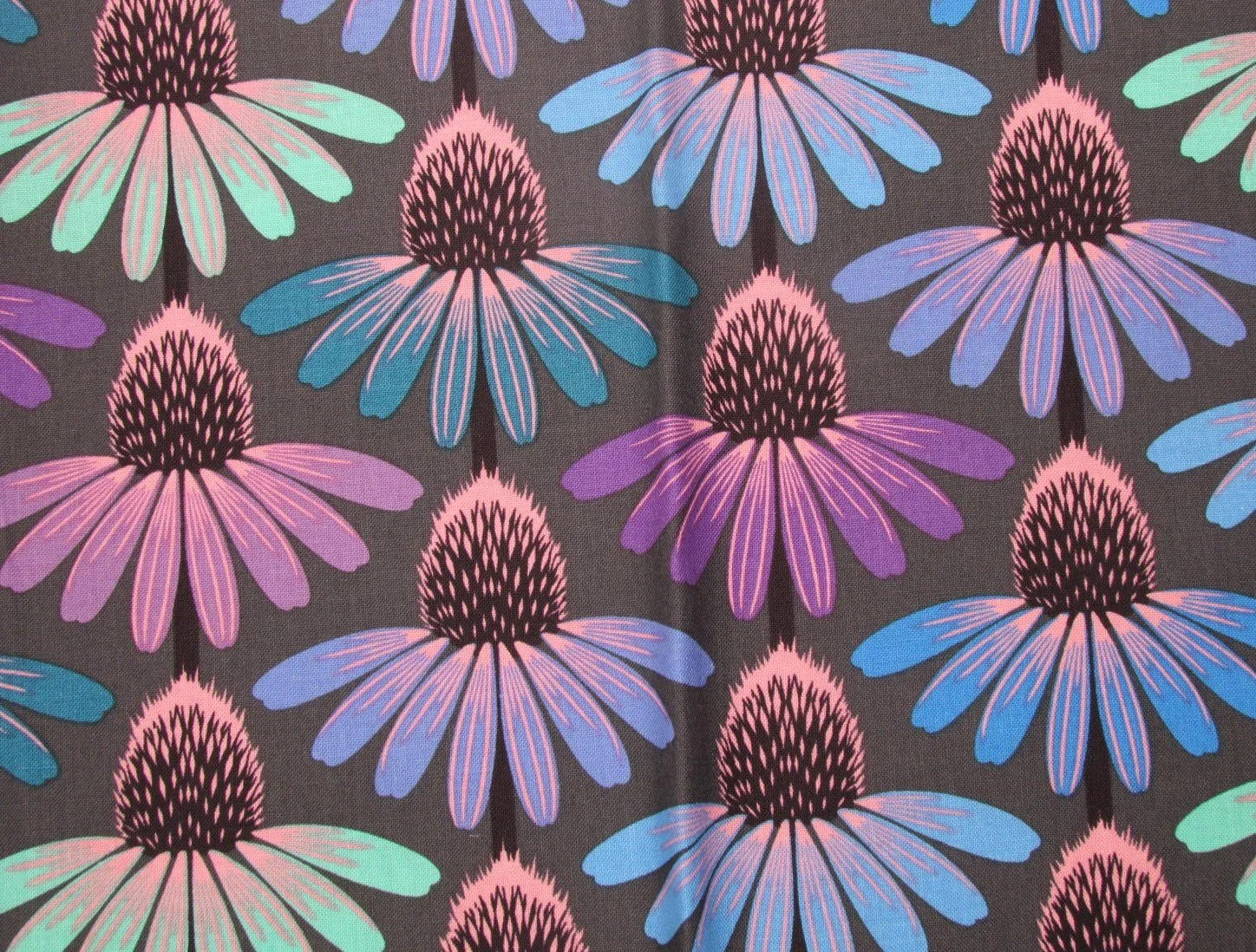 Anna Maria Echinacea Glow in Blue
