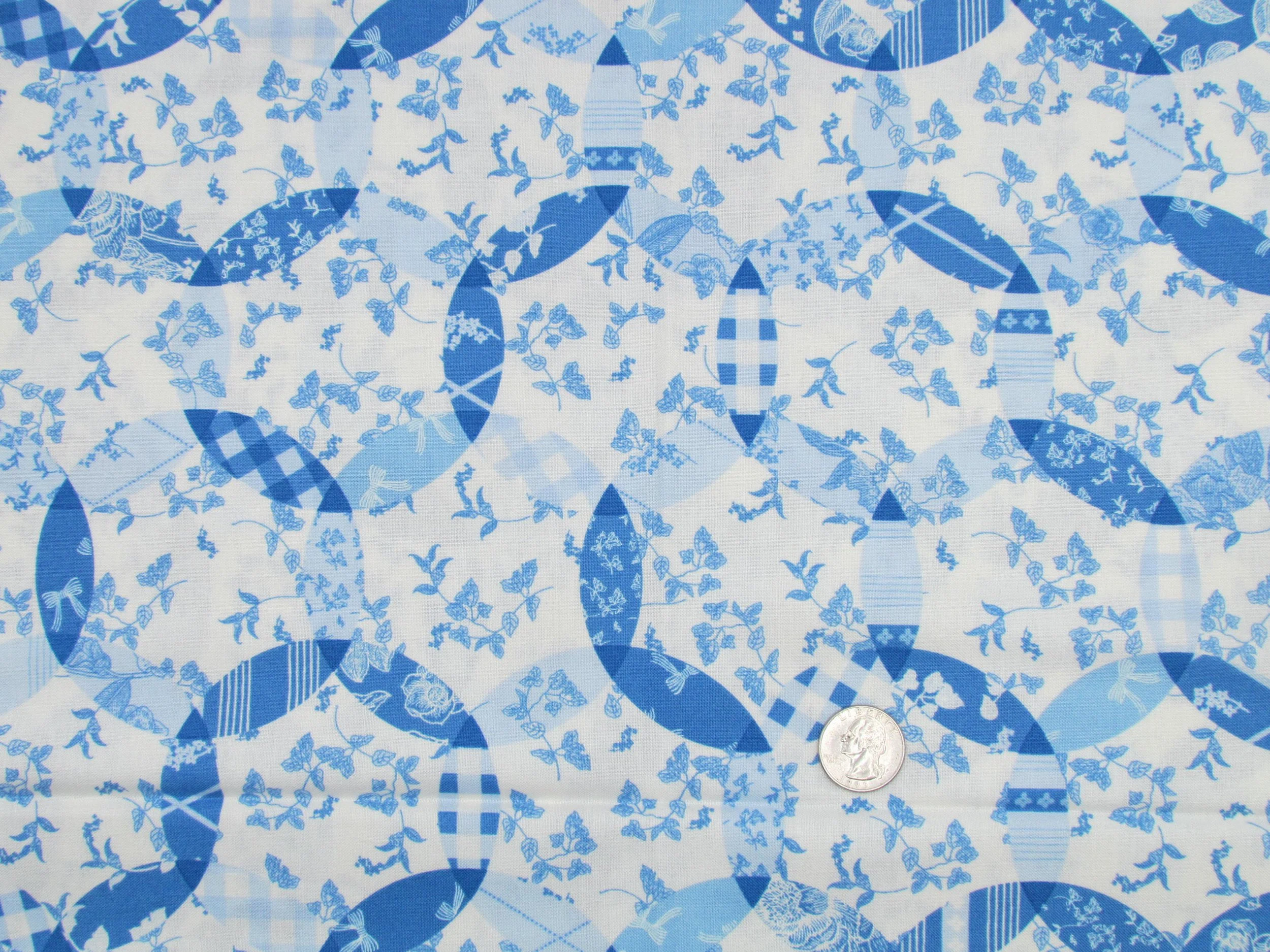 Riley Blake My Mind's Eye Penelope Cheater Print in Blue and Cream