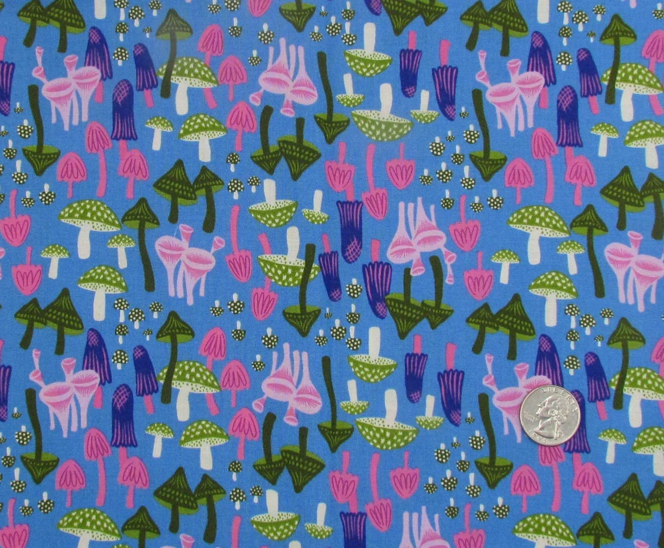 Ruby Star Hello Alice - Mushroom Land in Lindley Blue