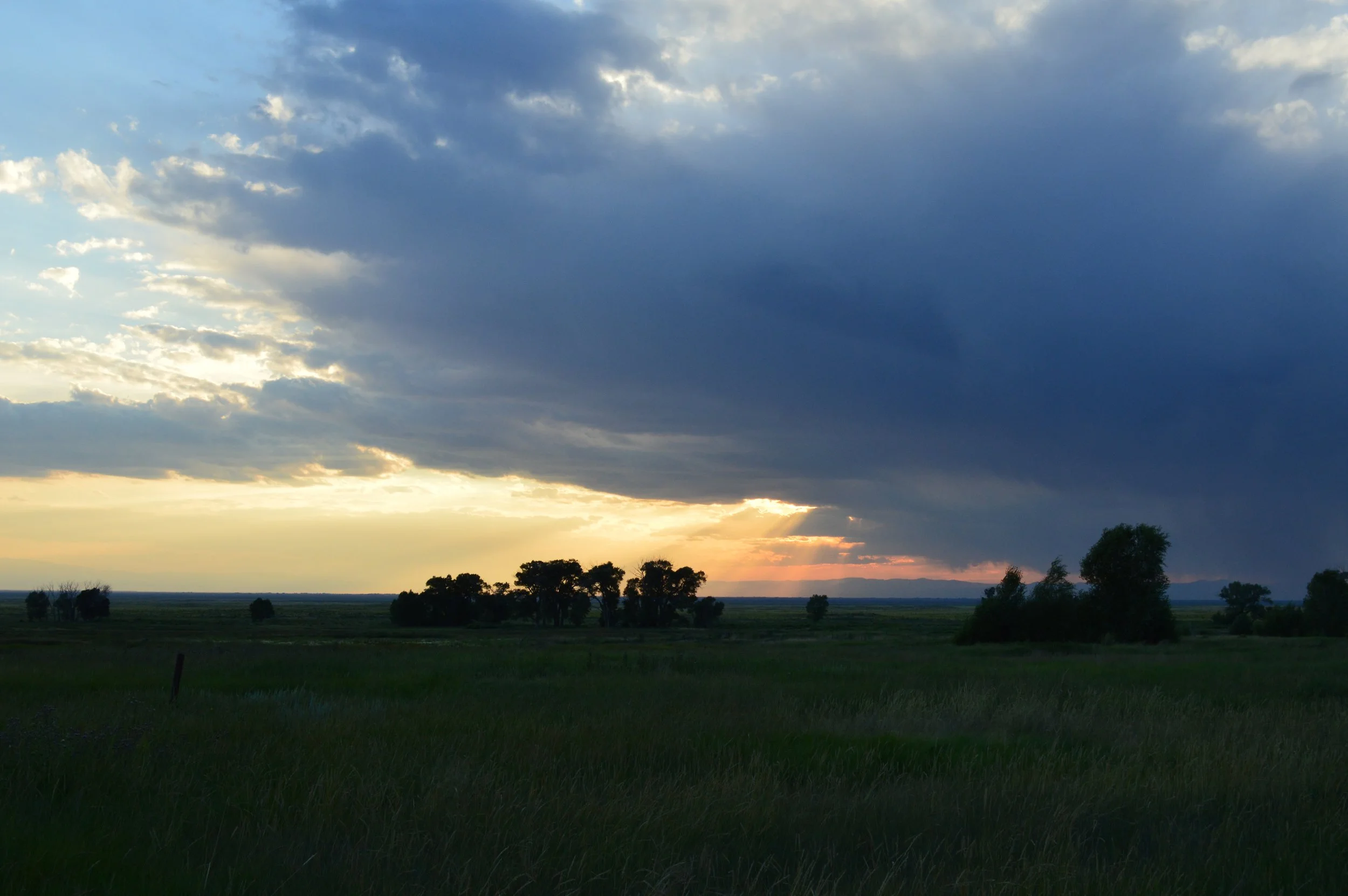 DSC_0316.JPG