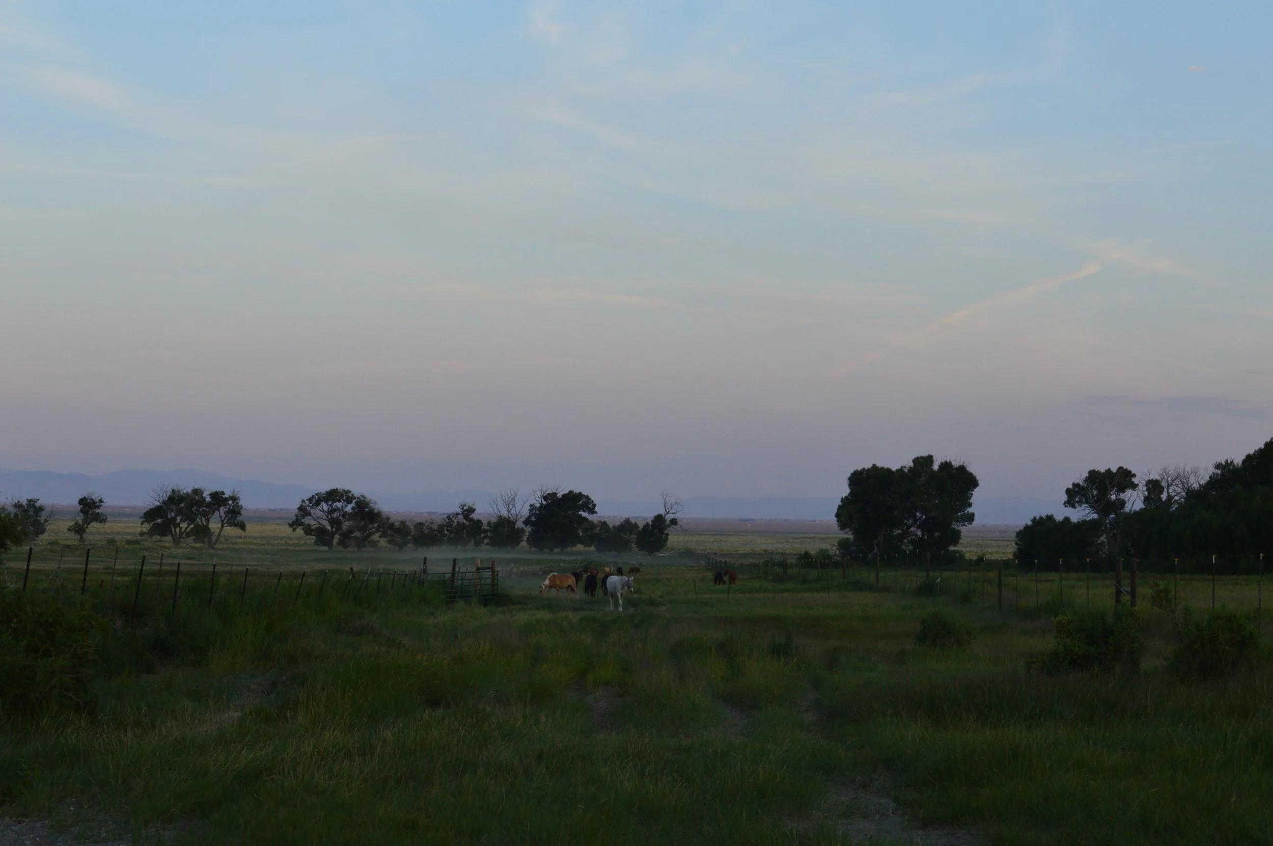 DSC_0333.JPG