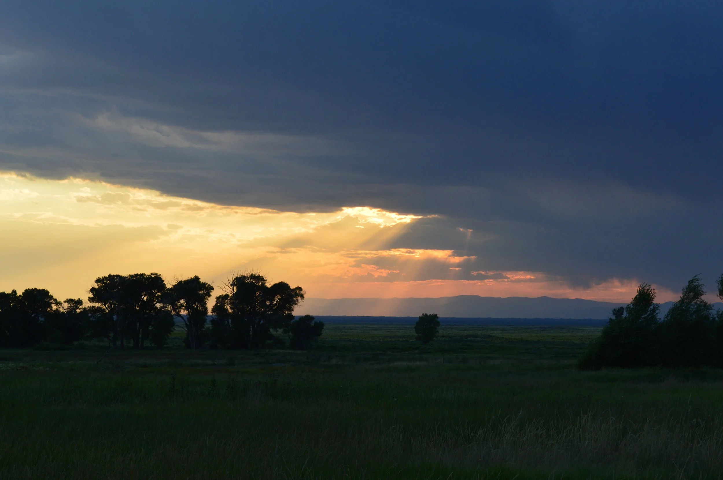 DSC_0318.JPG