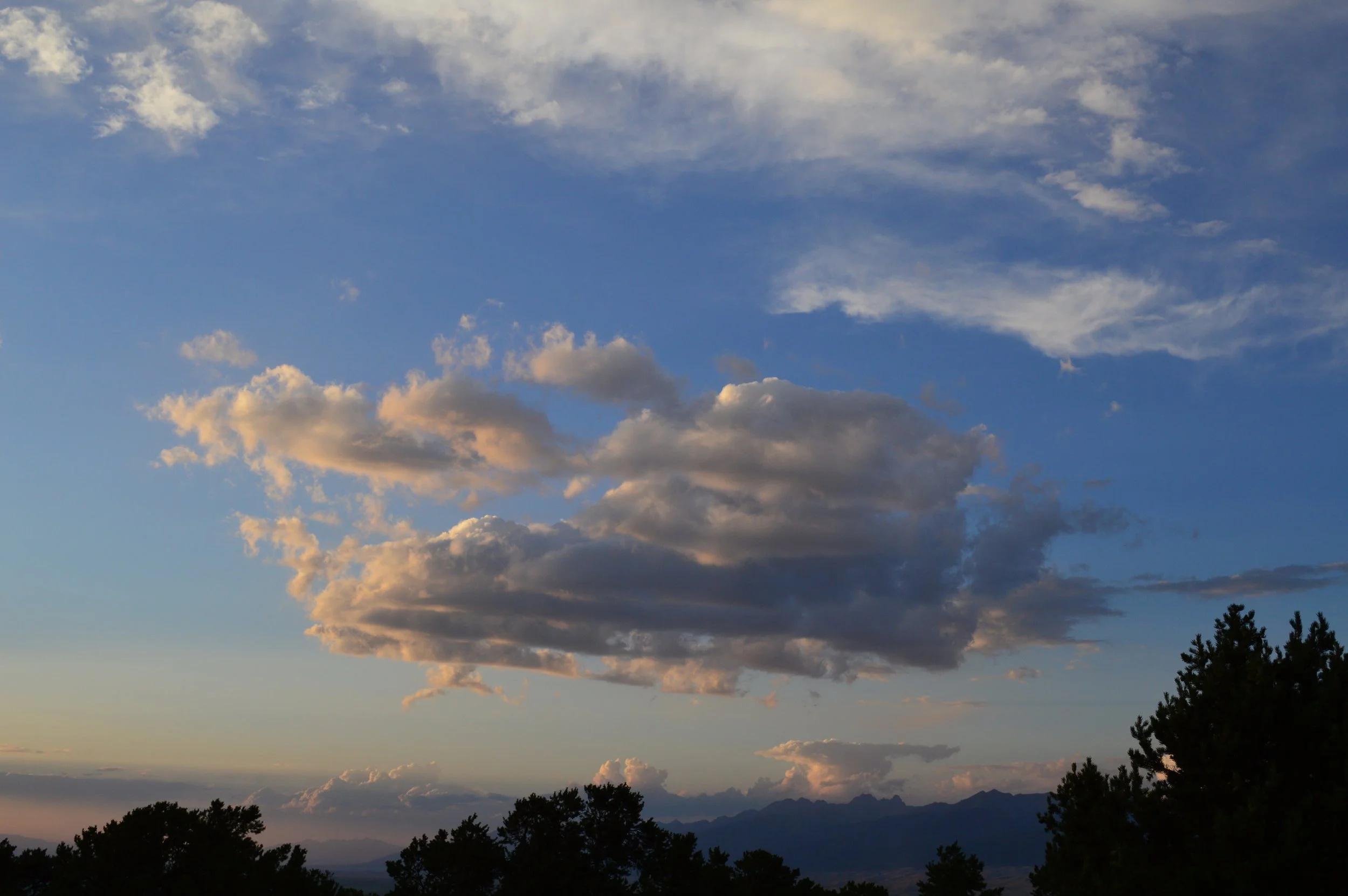 DSC_0304.JPG