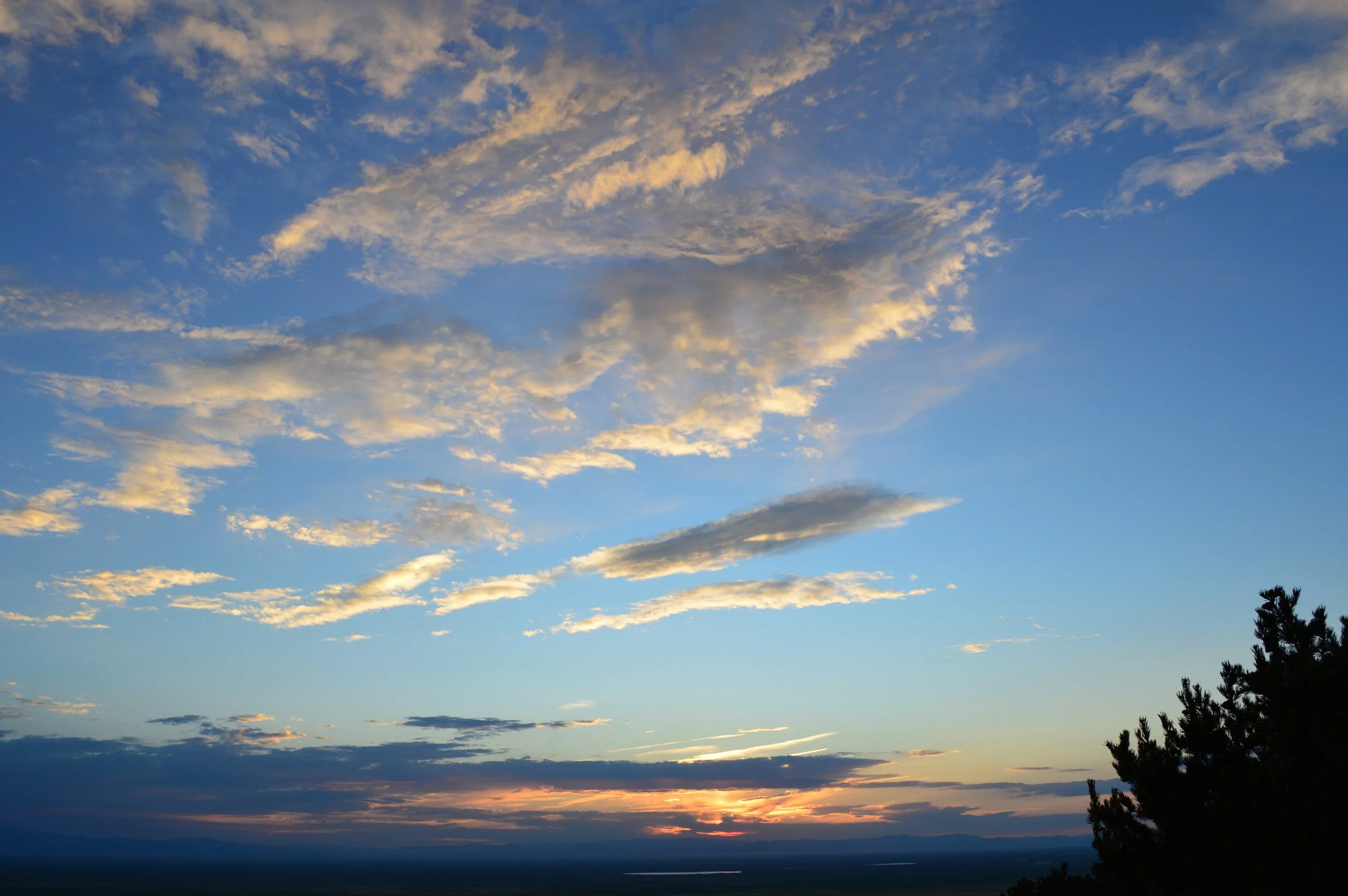 DSC_0308.JPG
