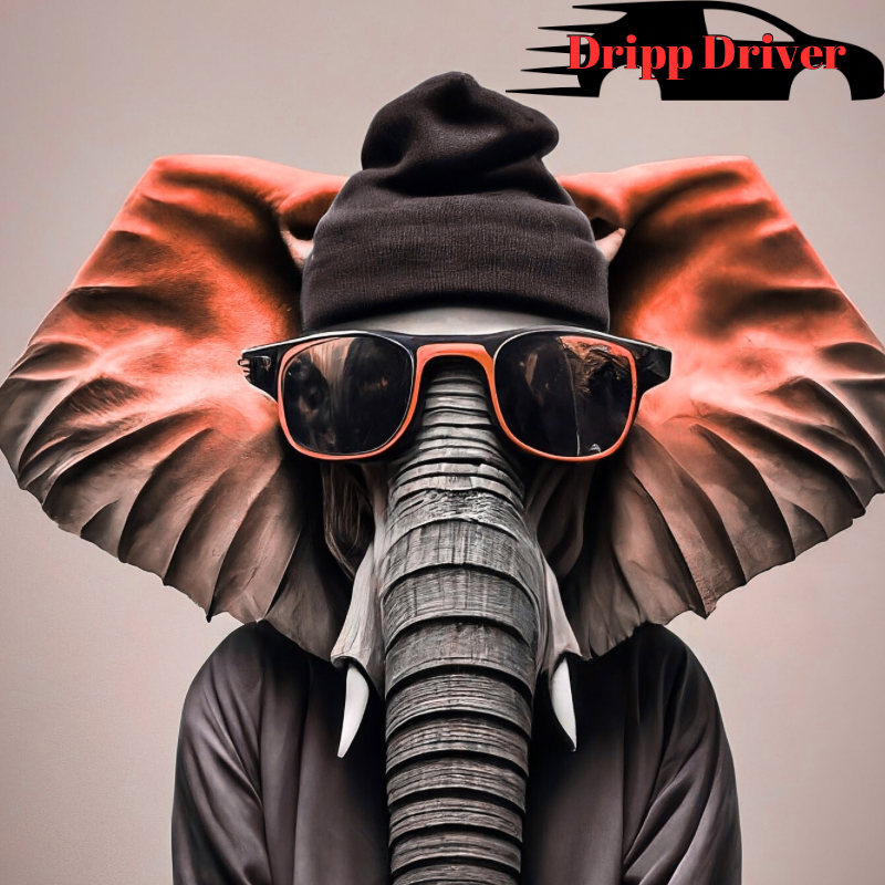An elephant dressed in a black hoodie and sunglasses with an orange frame, with the text 'Dripp Driver' in the top right corner.