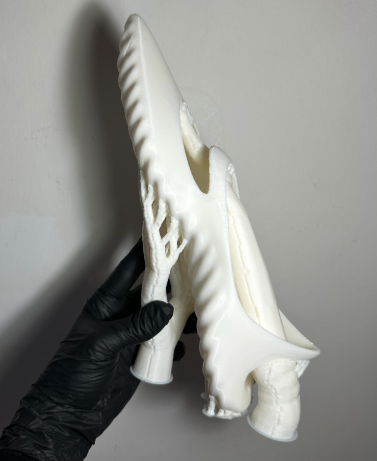 3D printed ballet shoes