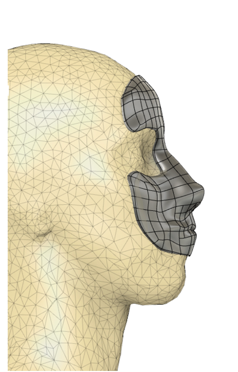 3D illustration of a human head in profile view displaying facial muscles and anatomy.