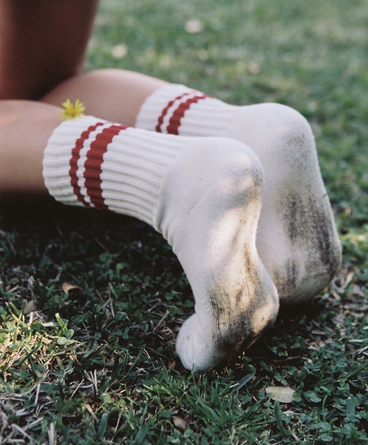 Child's legs wearing white knee-high socks with red stripes, dirty shoes, sitting on grass with a small yellow flower in the sock, blurred greenery background.