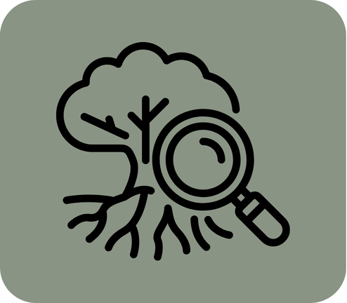 Tree with roots and magnifying glass representing advanced functional medicine lab interpretation and health assessment for an Alaskan telehealth patient