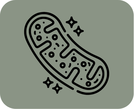 Simplified cell structure producing energy representing optimized mitochondrial function and cellular repair via advanced peptide therapy in Alaska