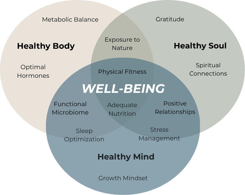Venn diagram illustrating the interconnectedness of well-being, with three overlapping circles labeled Healthy Body, Healthy Soul, and Healthy Mind. The diagram highlights aspects like metabolic balance, gratitude, stress management, and growth mindset, emphasizing physical fitness and overall well-being.