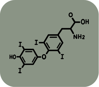 Dopamine Testosterone Progesterone Hormones