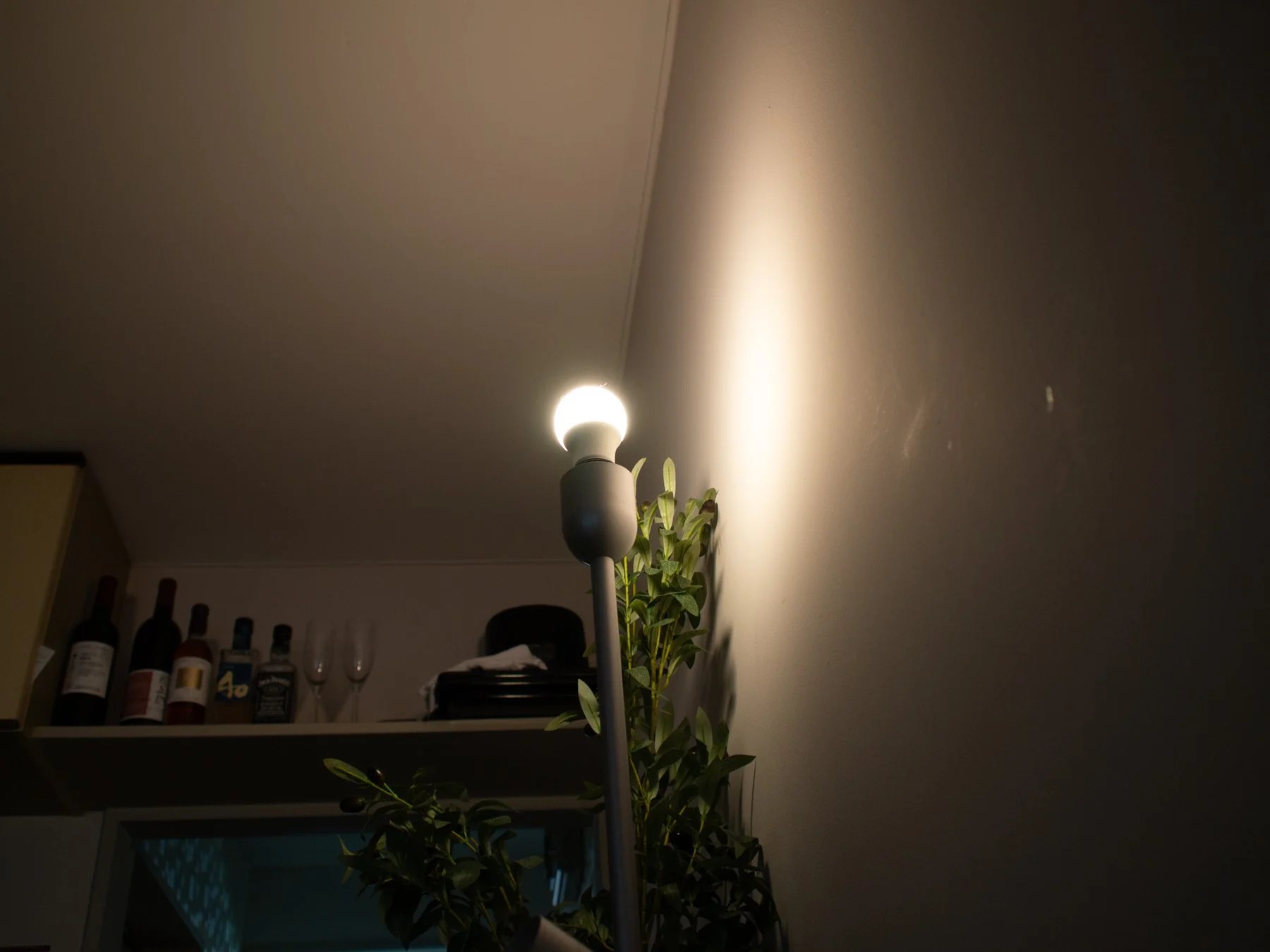 P1018863.jpg