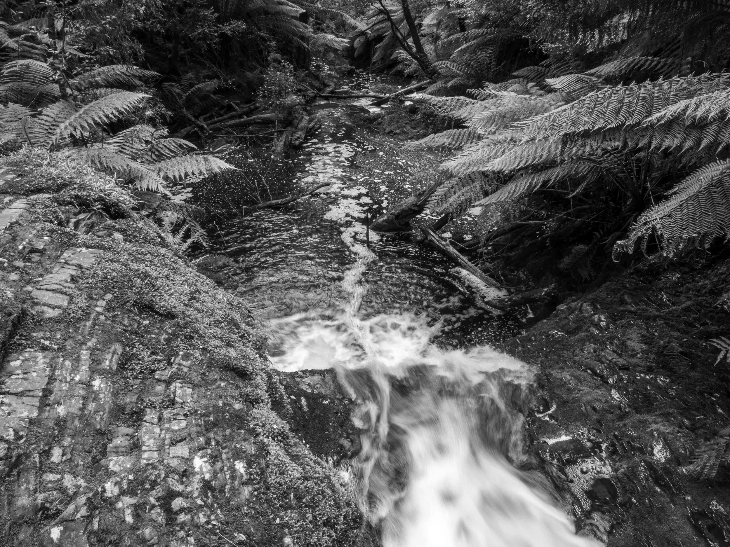 water #1.jpg