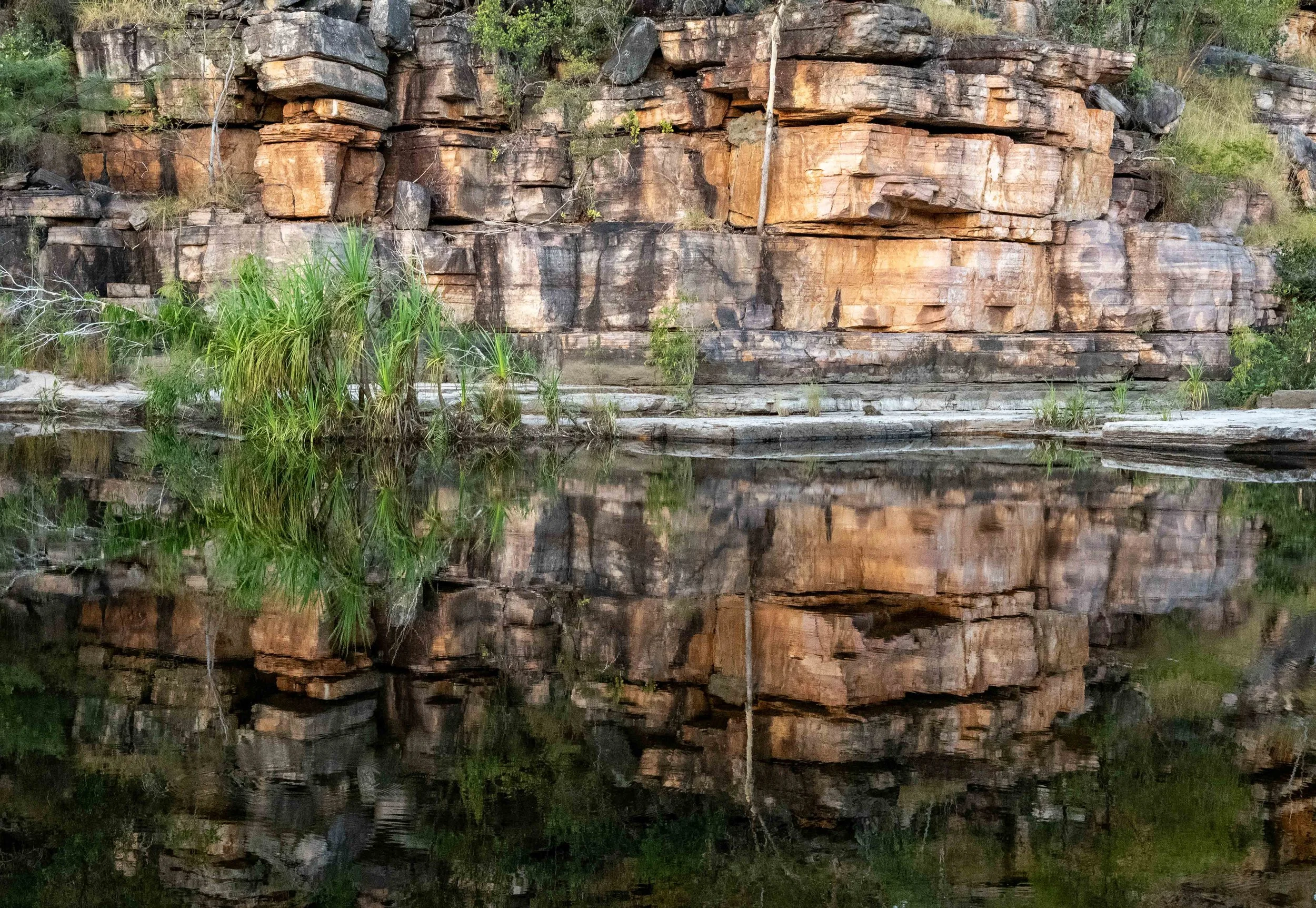 The Escarpment Trek 2024