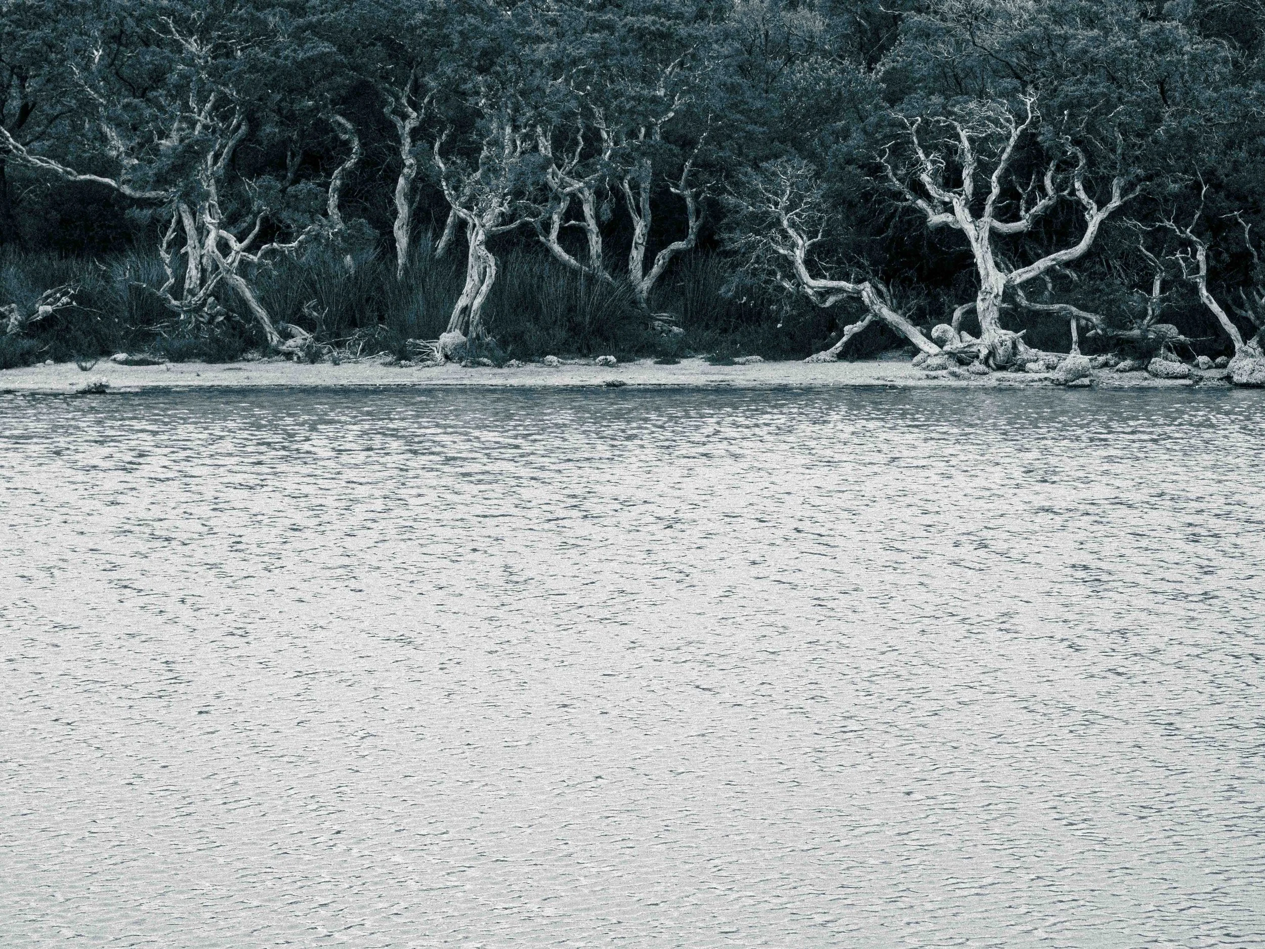 inlet #2.jpg