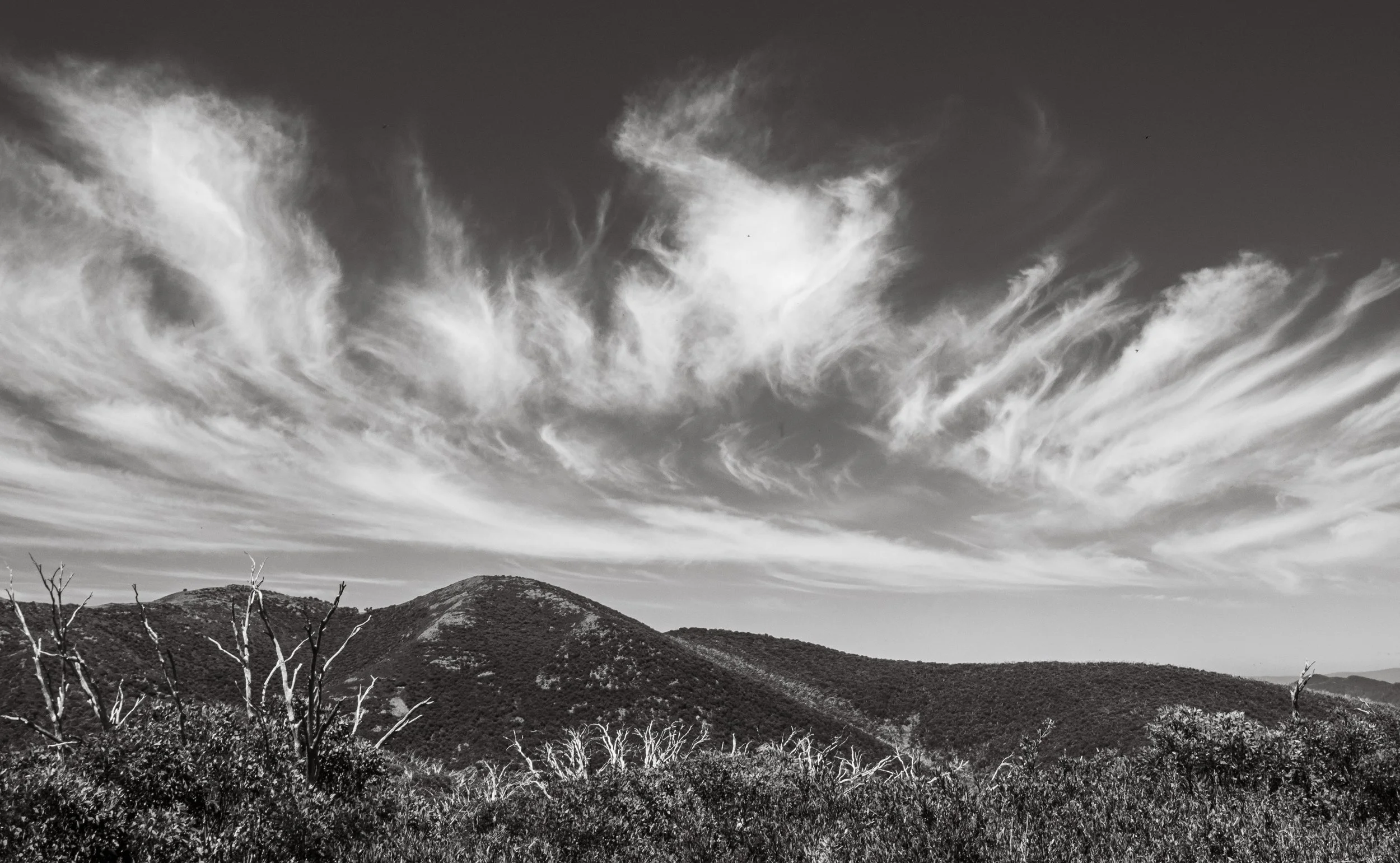 MT Feathertop #5.jpg