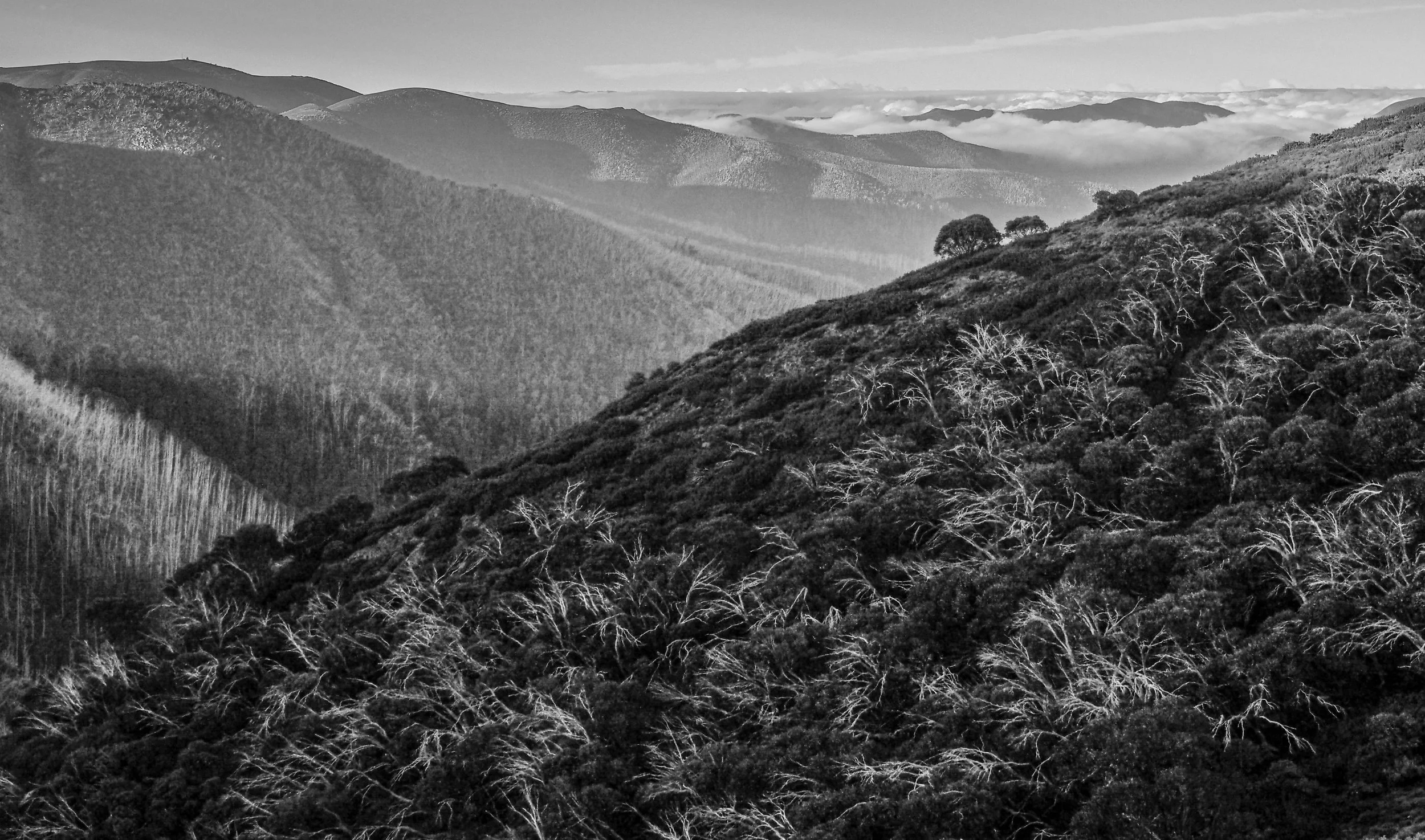 MT Feathertop #1.jpg