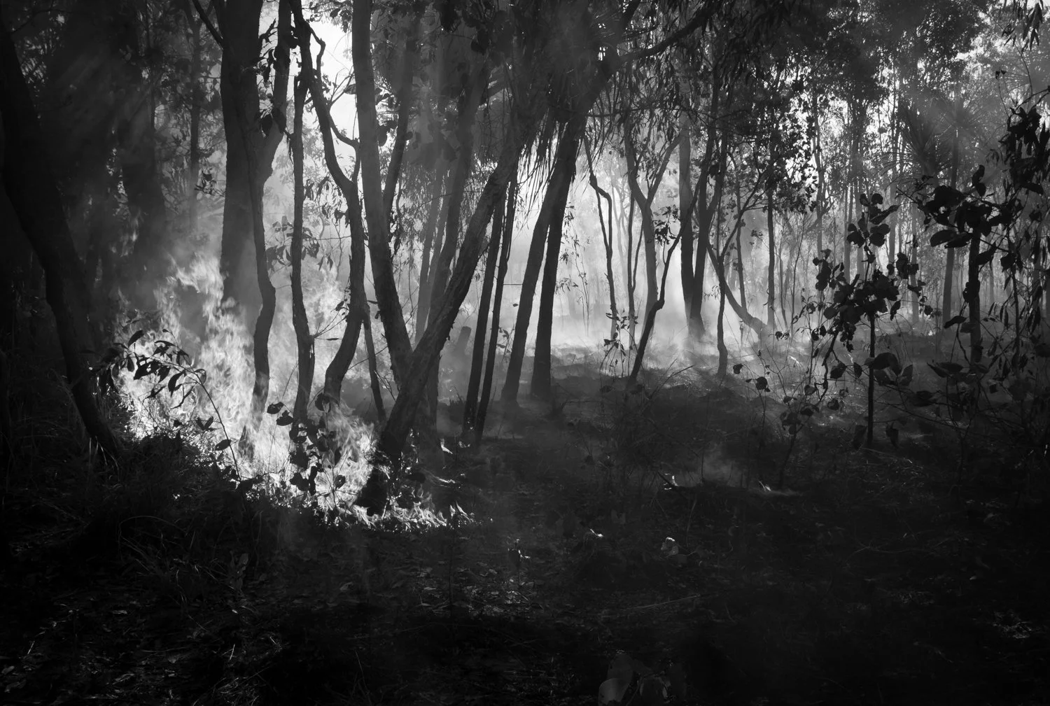 Incendio