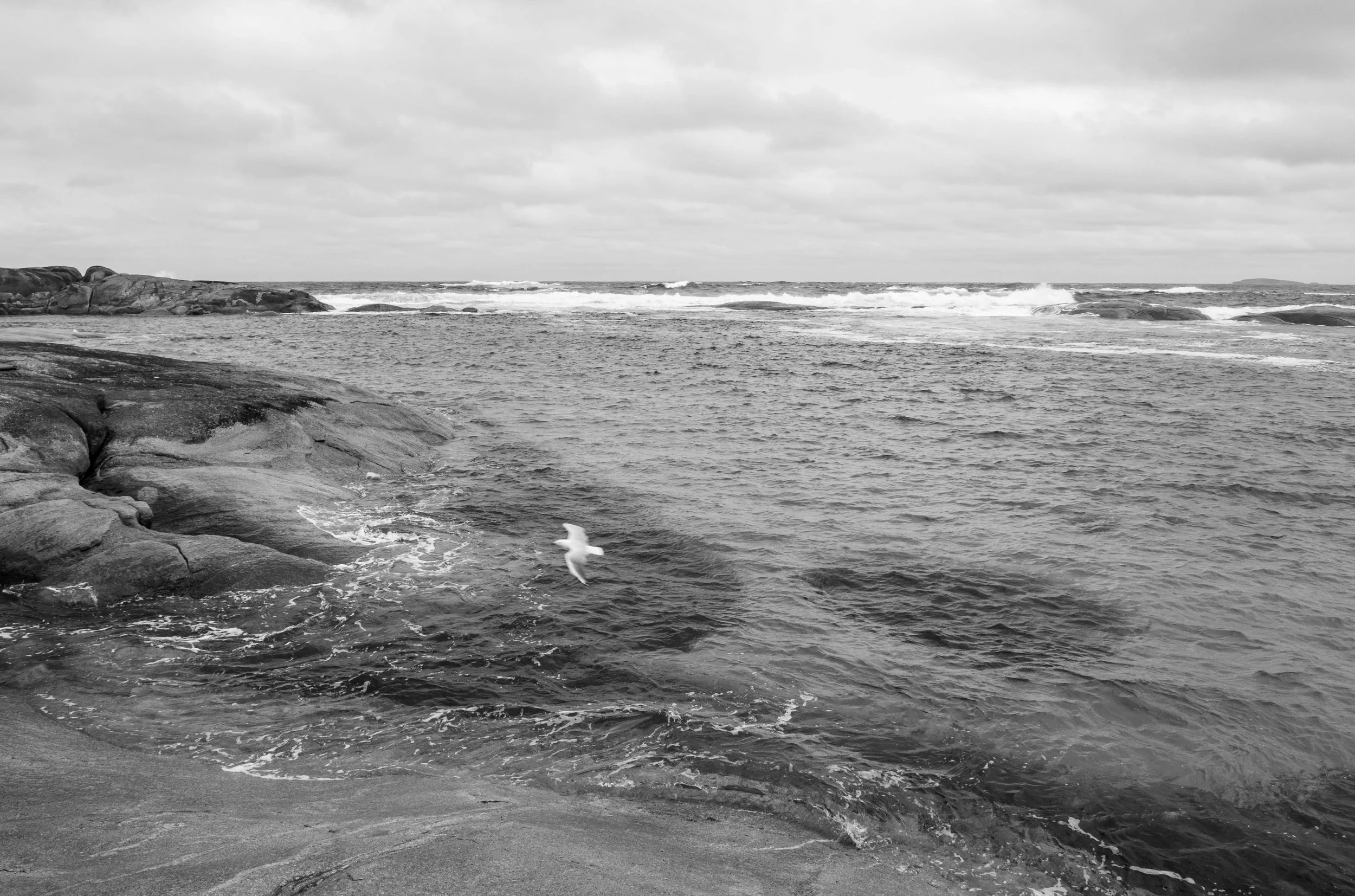 Coastline WA #3.jpg