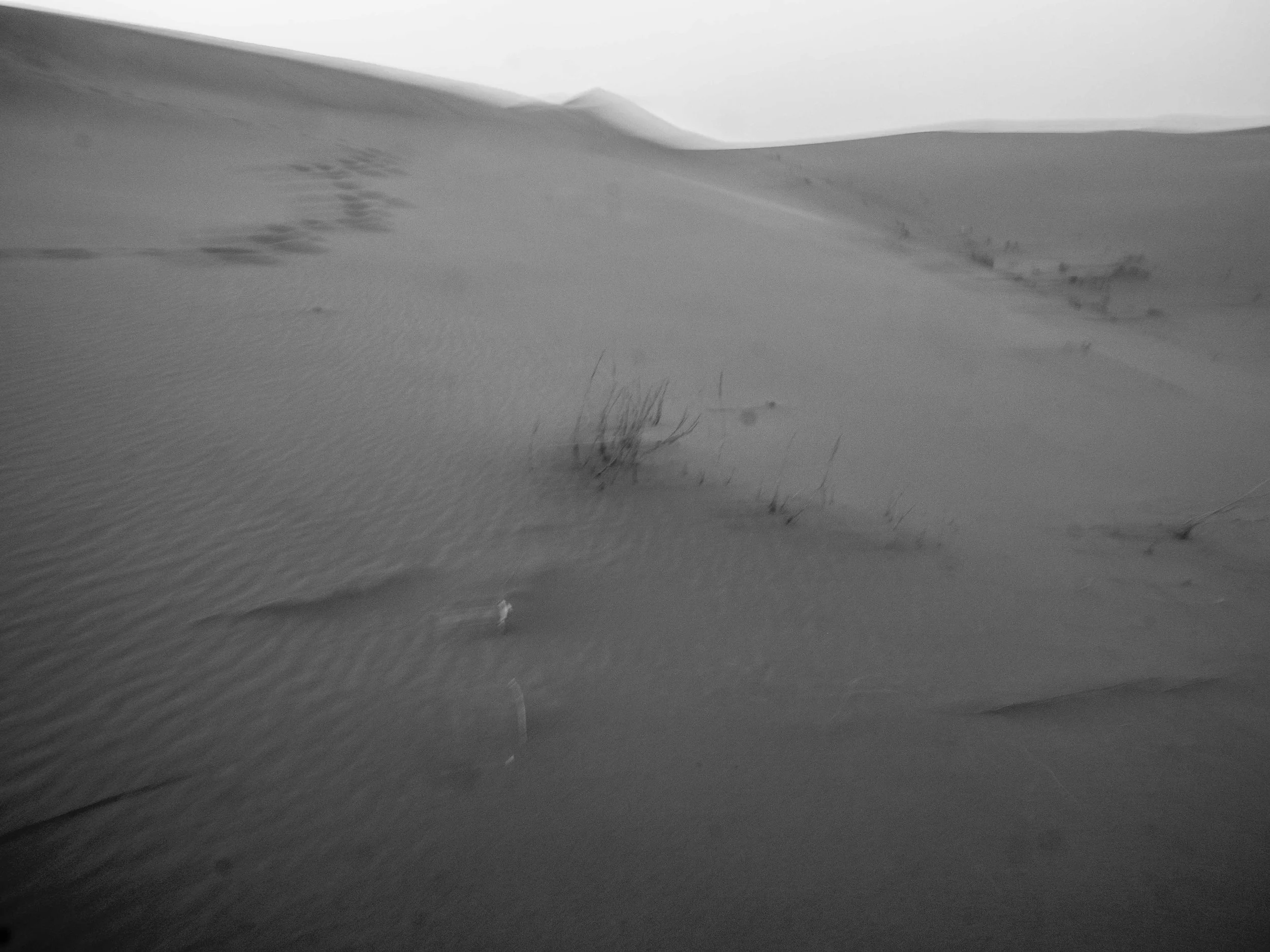 Sahara #1.jpg