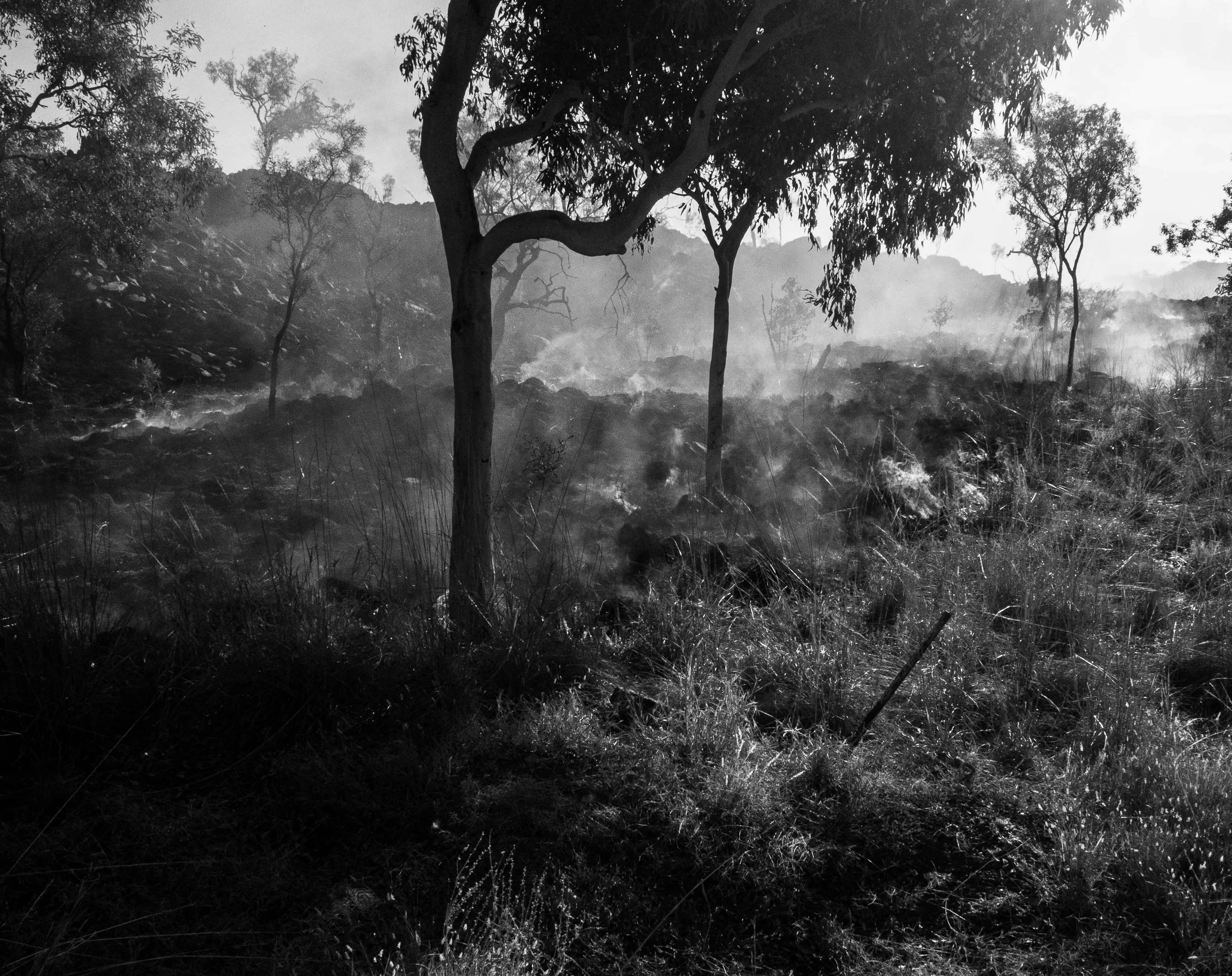 Incendio en el bosque 2.jpg