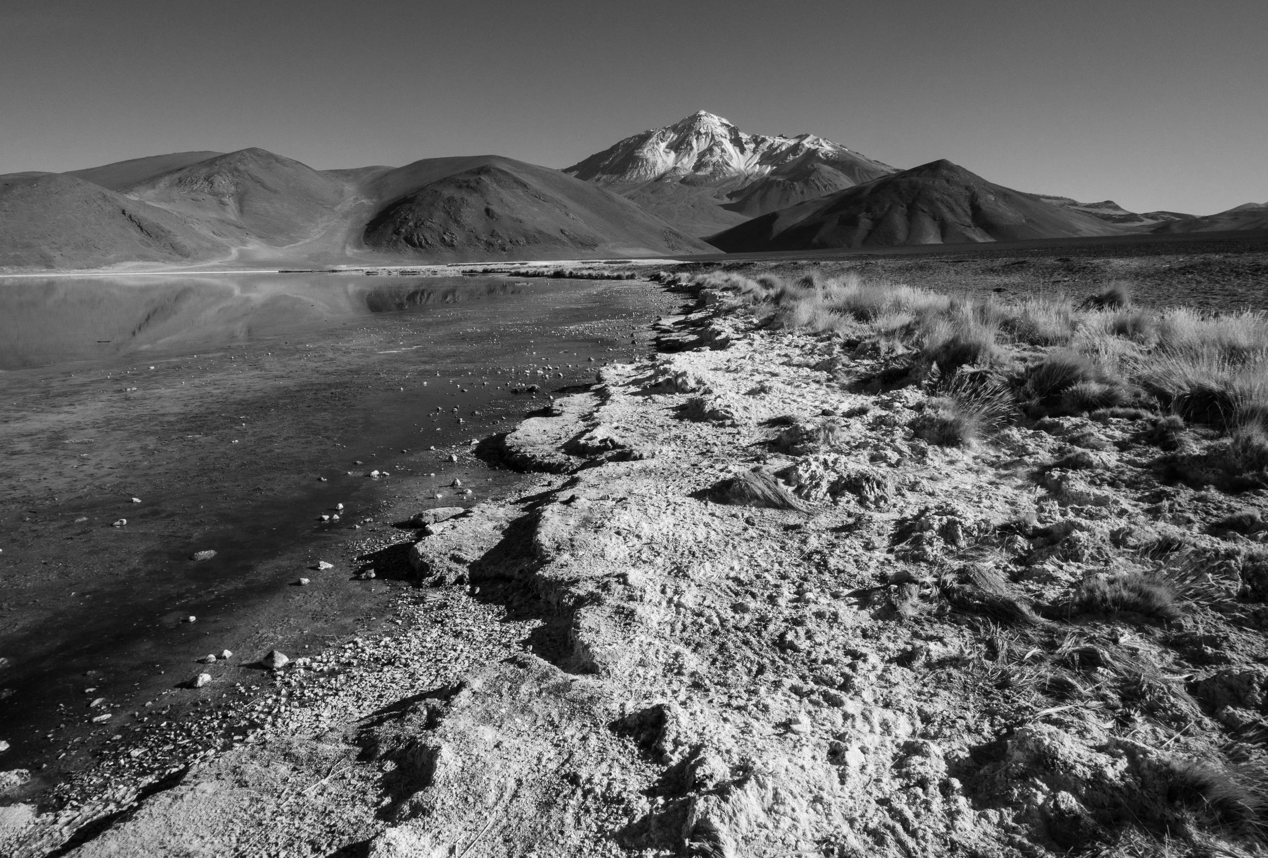 Volcan Socompa desde la laguna.jpg