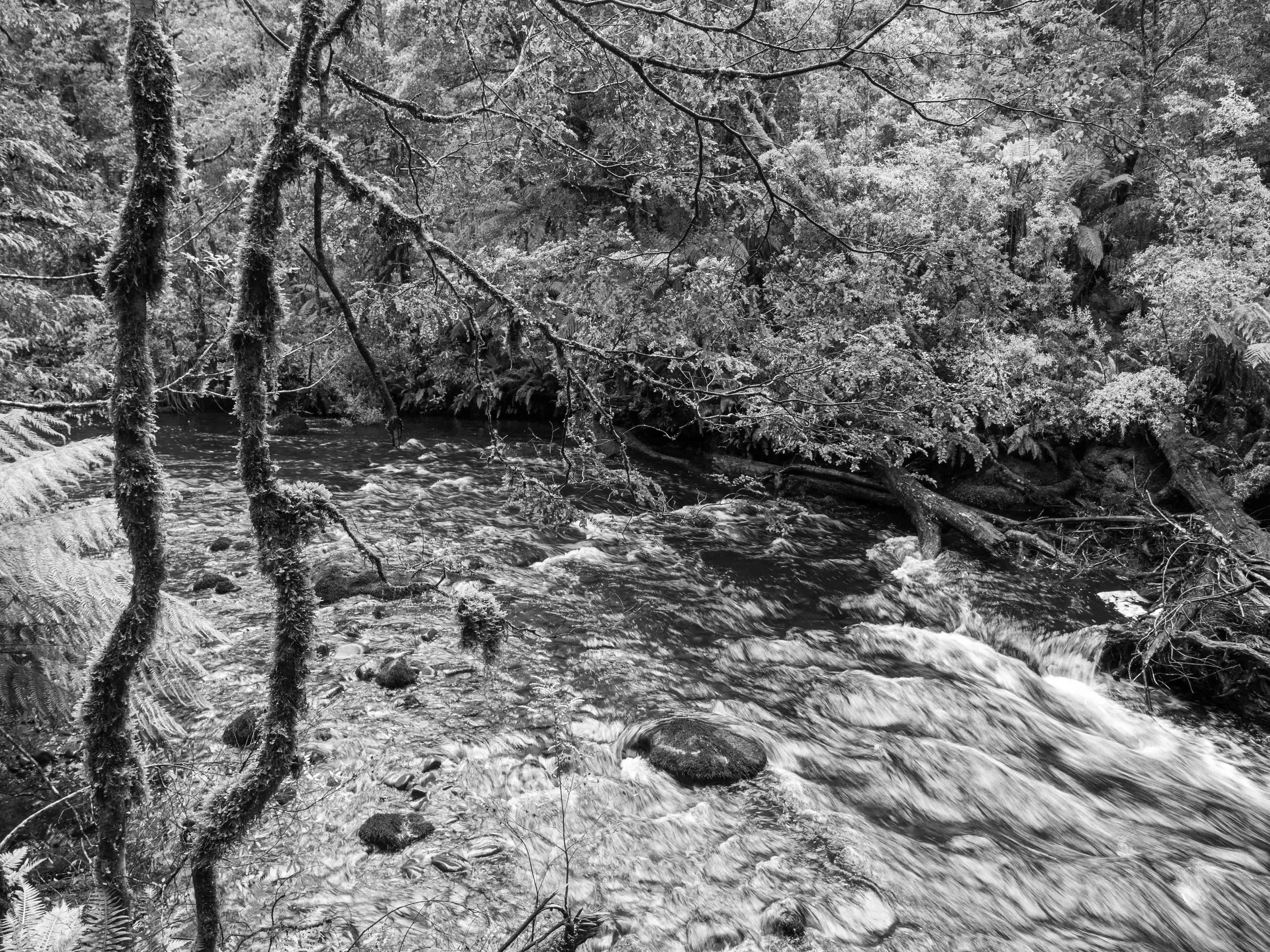 Franklin River.jpg