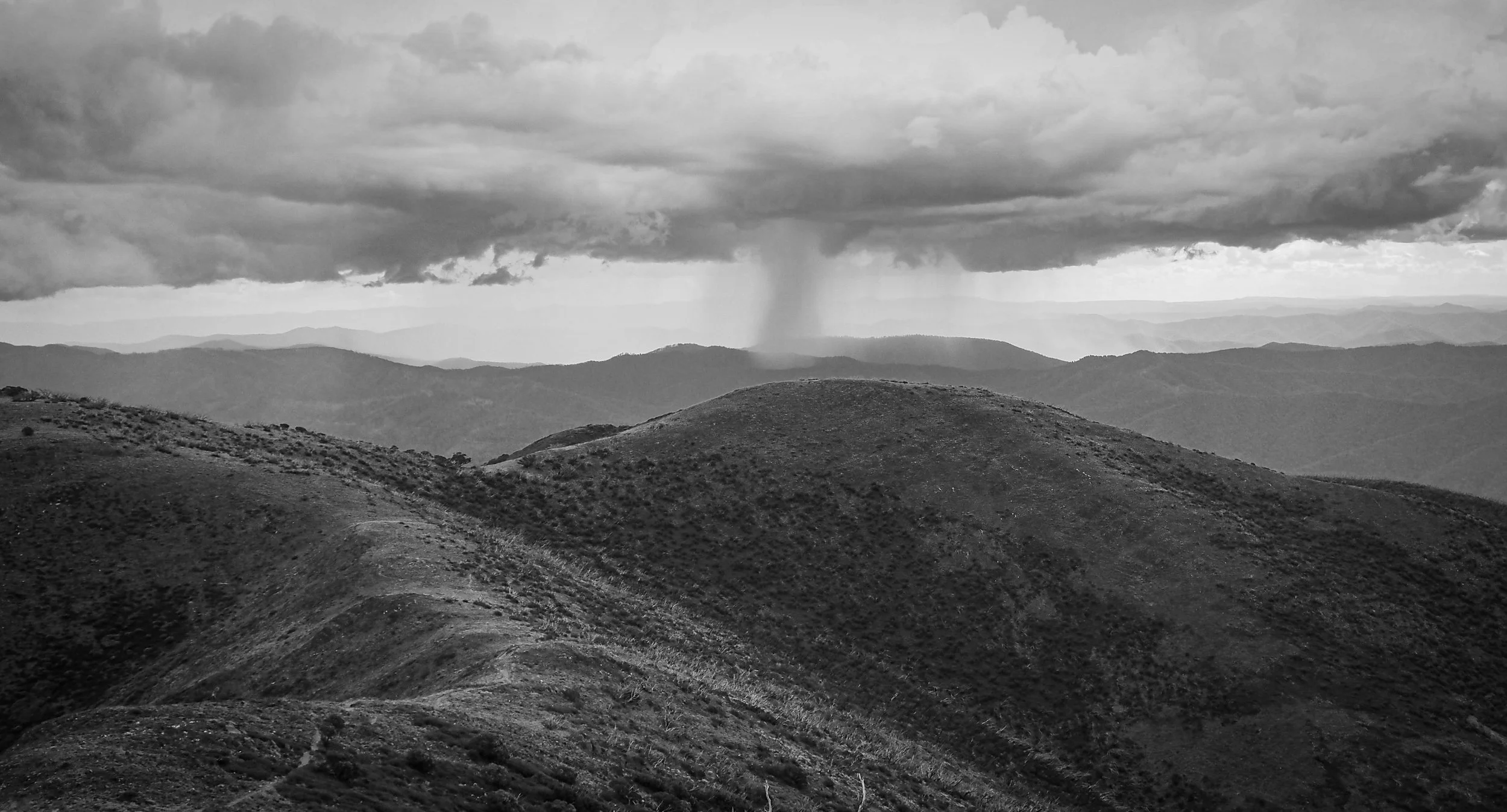 MT Featherop