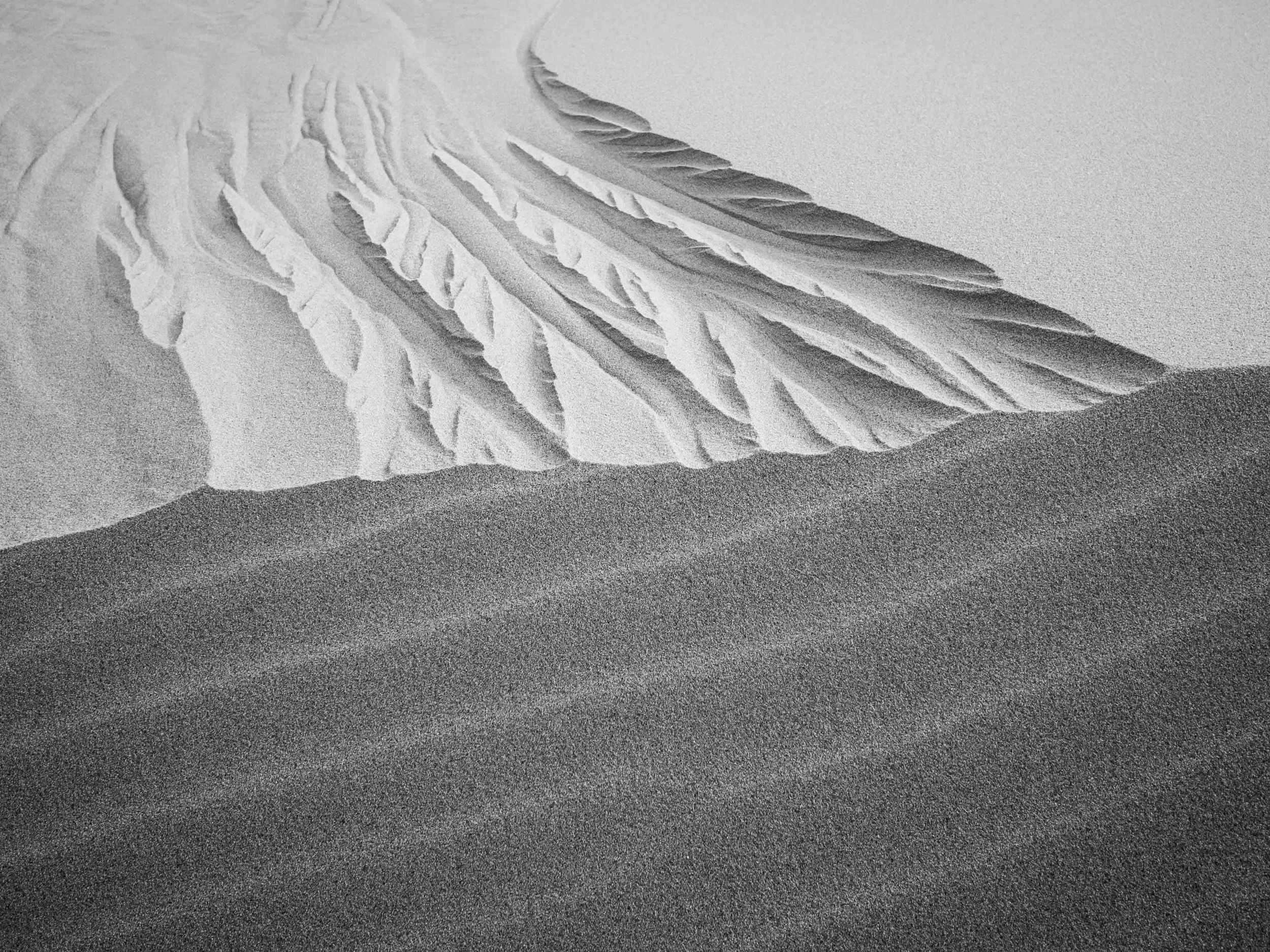 Sahara #2.jpg