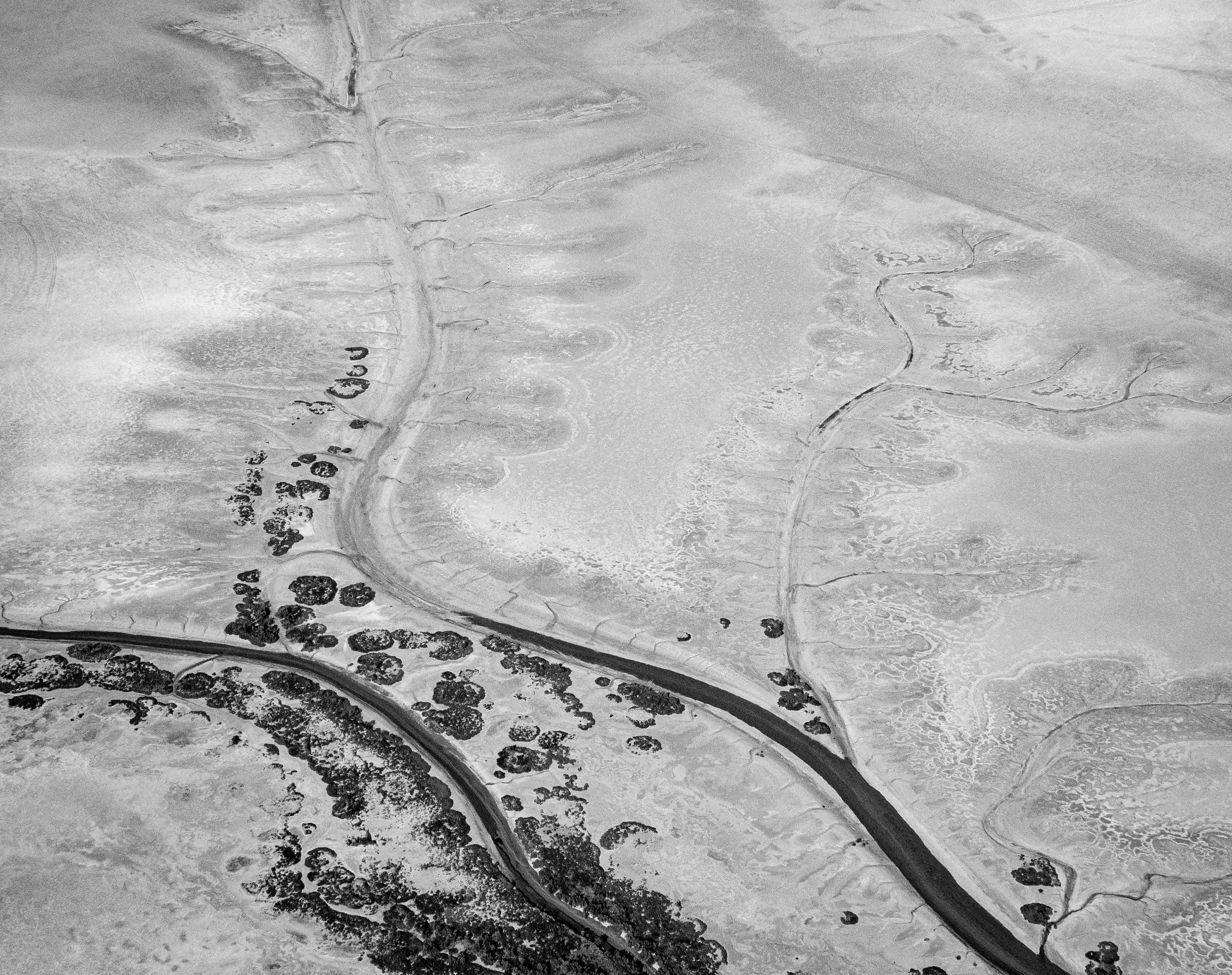 Marisma desde el aire 1.jpg