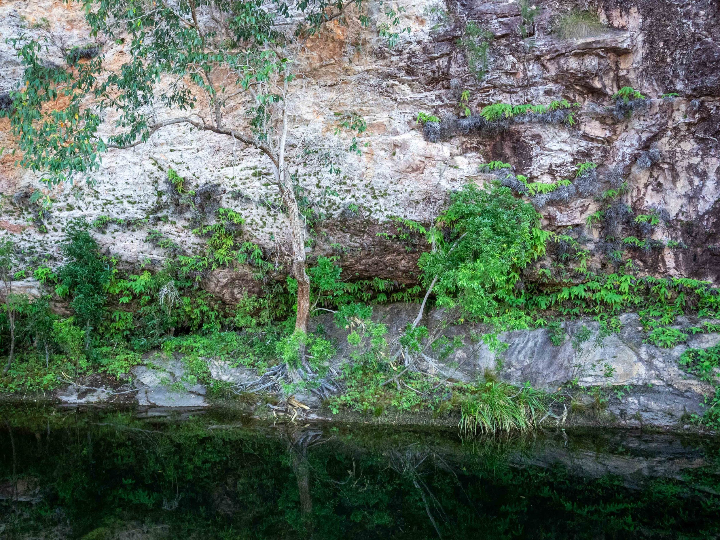 Green #1.jpg