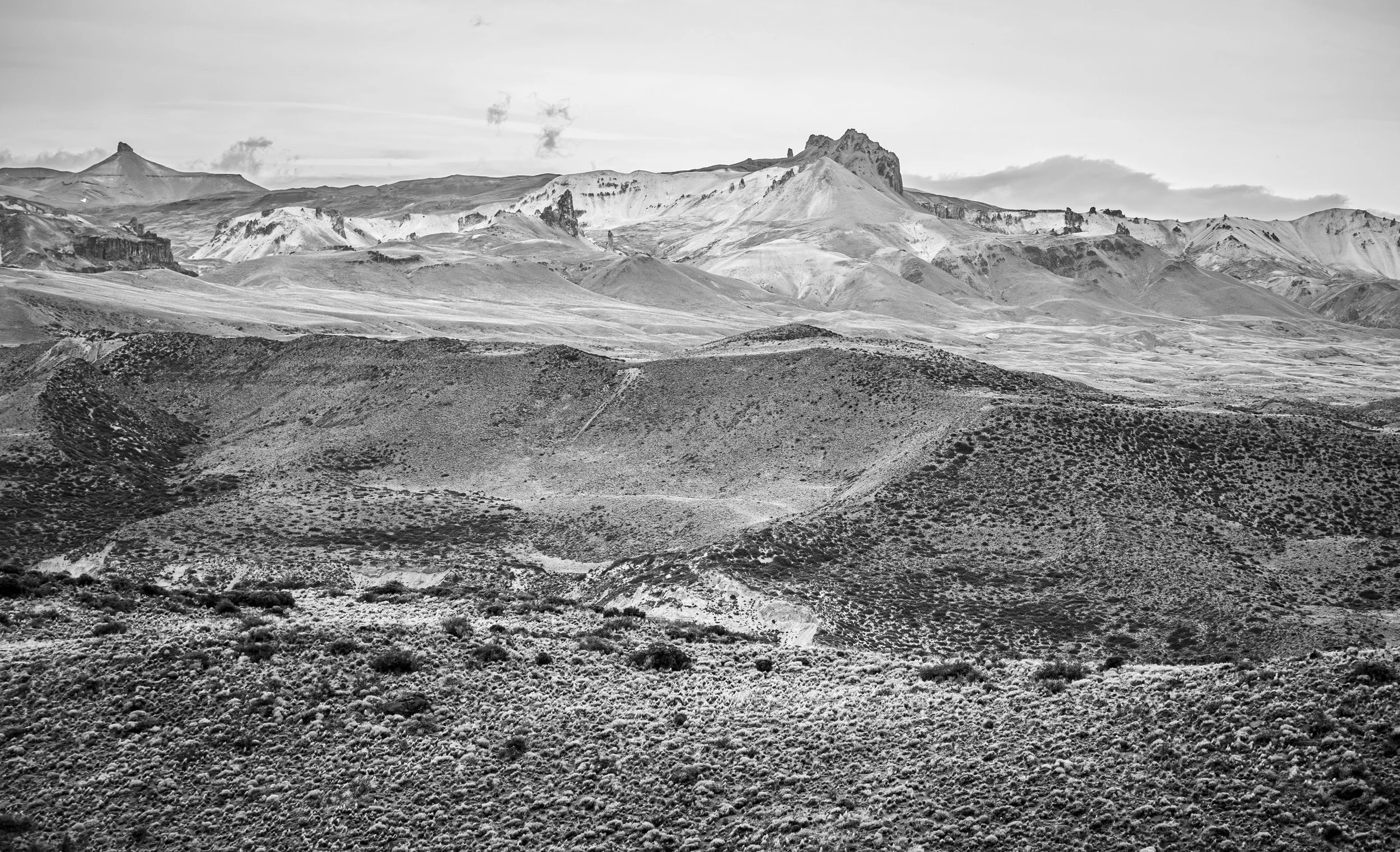 _2181812.jpg