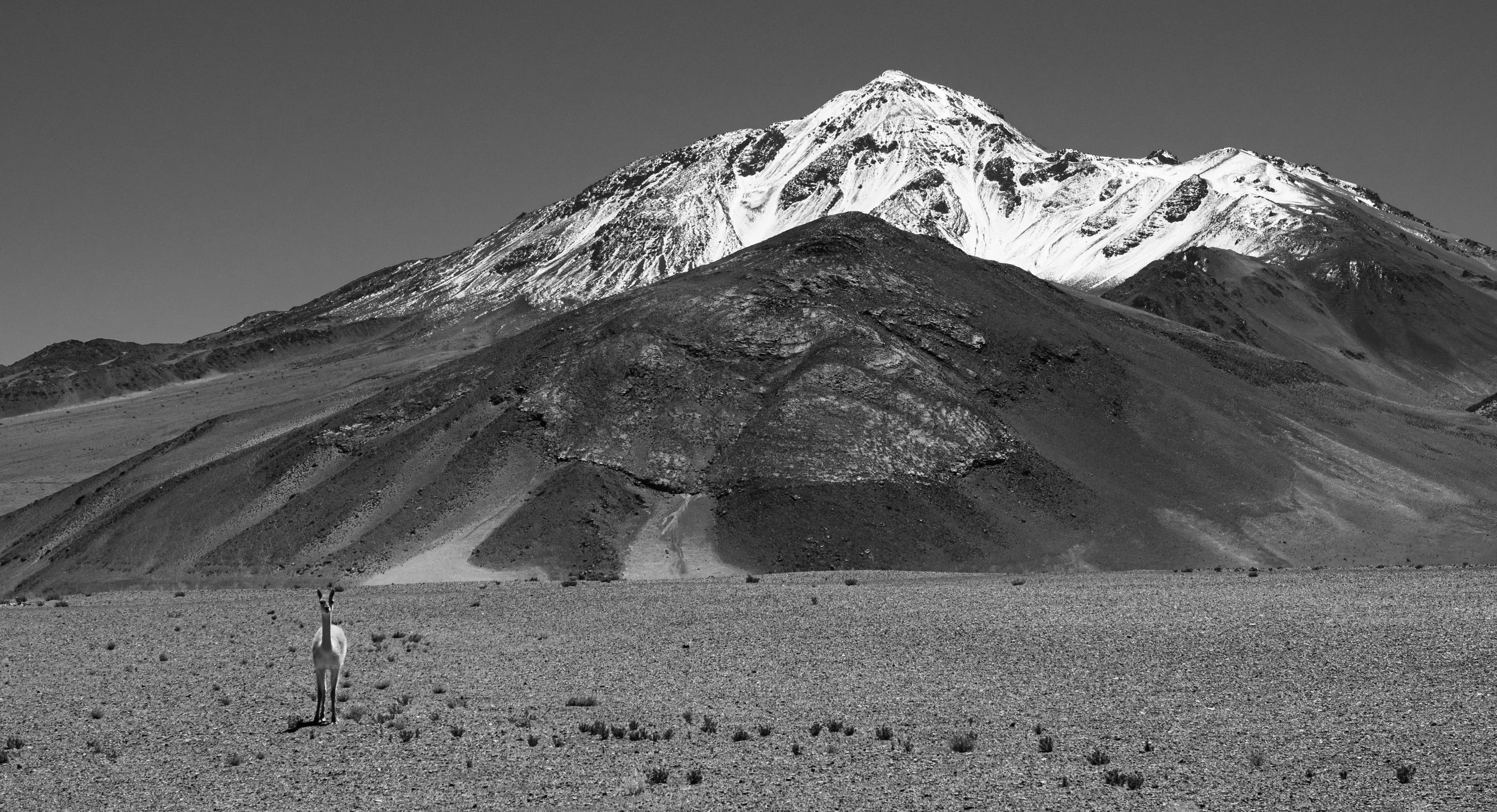 Volcan Socompa #1.jpg