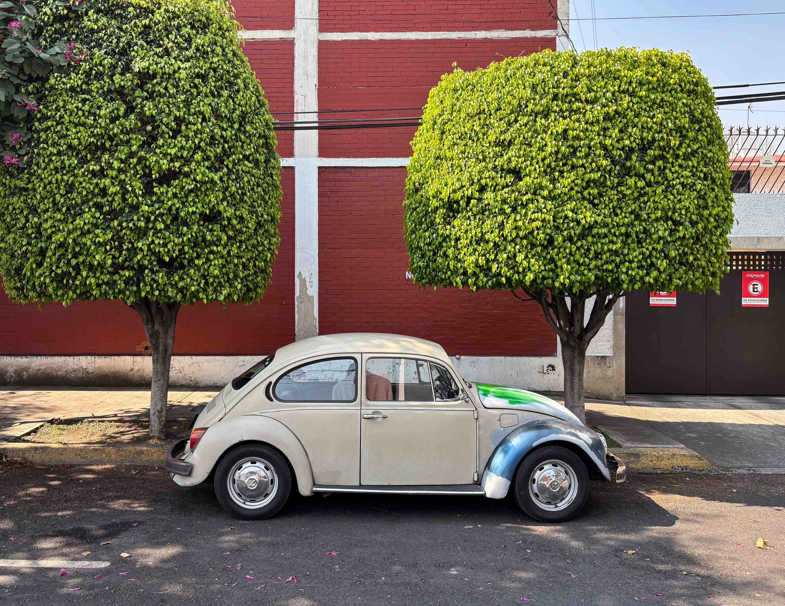 Bochos Mexicanos