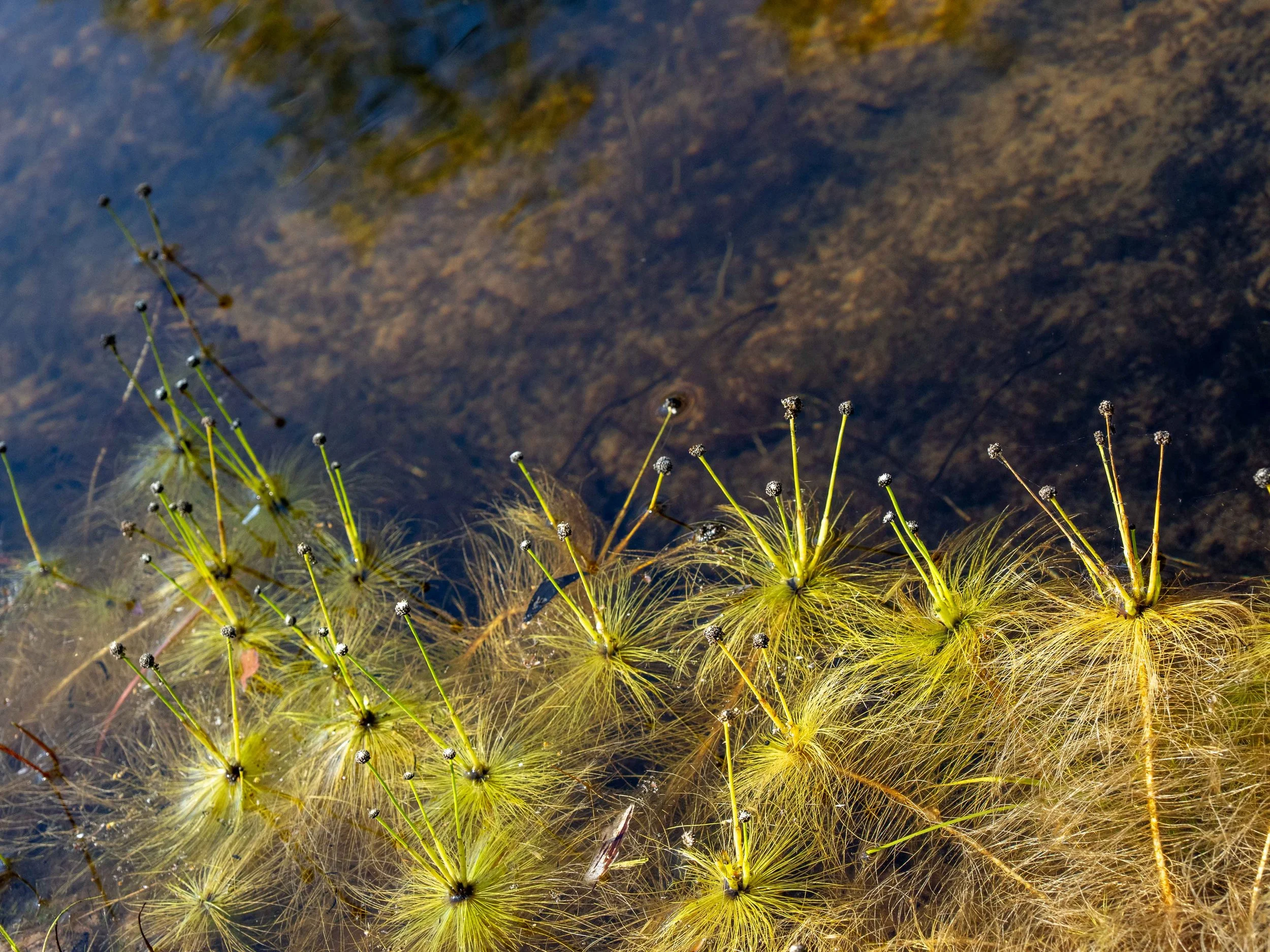 water flow.jpg