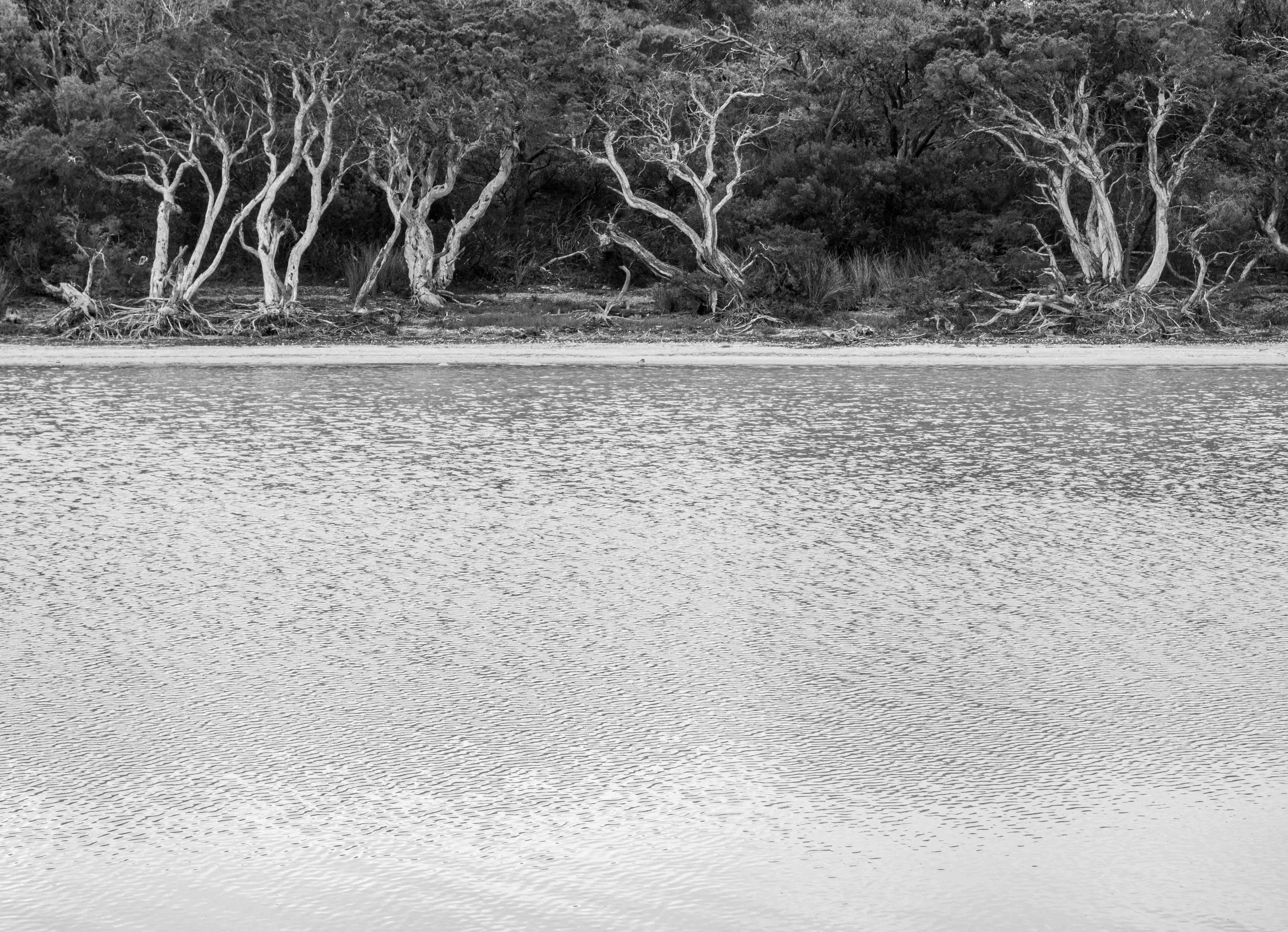 inlet #1.jpg