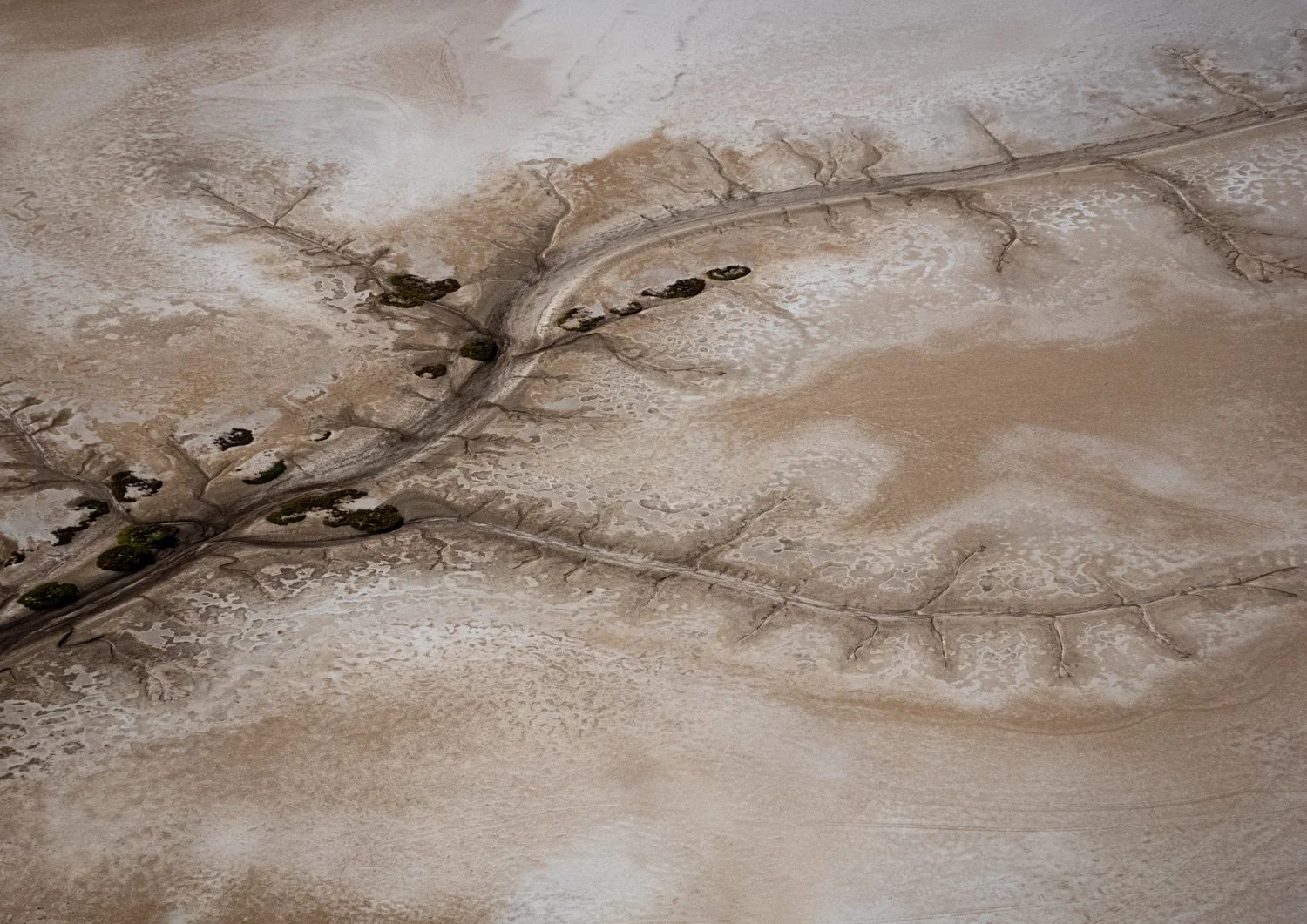 Mudflats