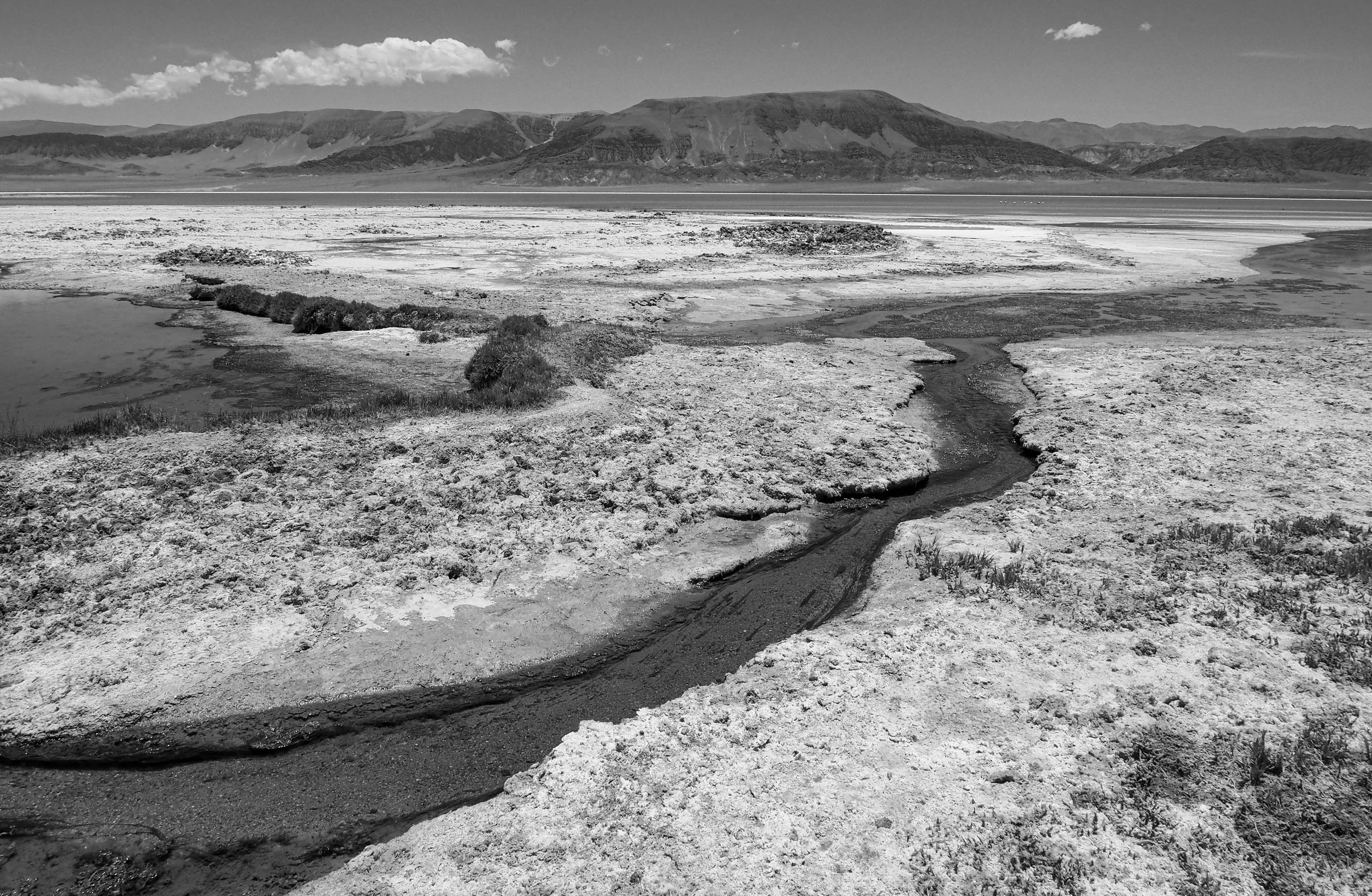Laguna Carachi Pampa.jpg