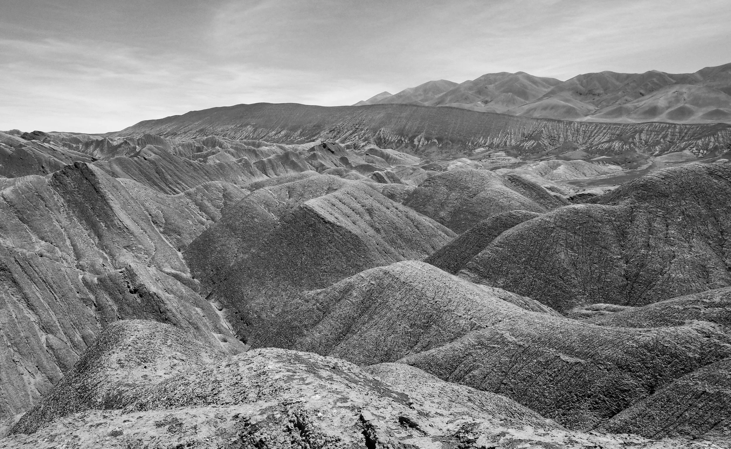 Tolar Grande #1.jpg