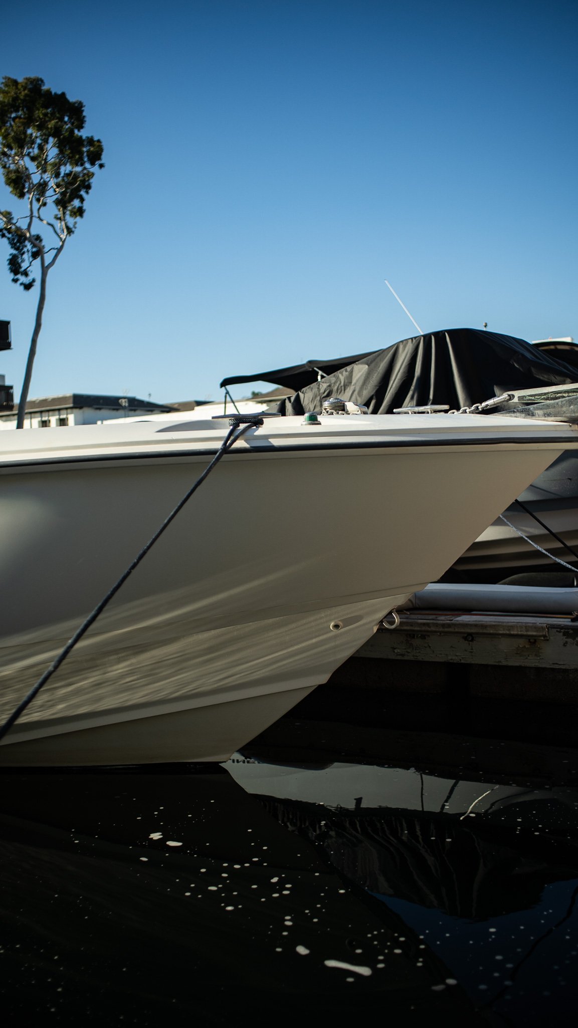 Close-up of boats docked at a marina, with clear blue sky overhead and reflections on the water.