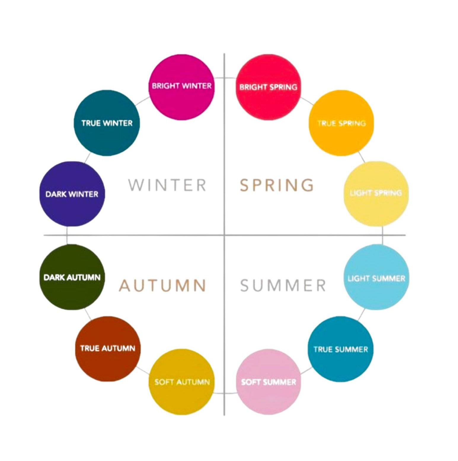 Discover Your Colour Season
