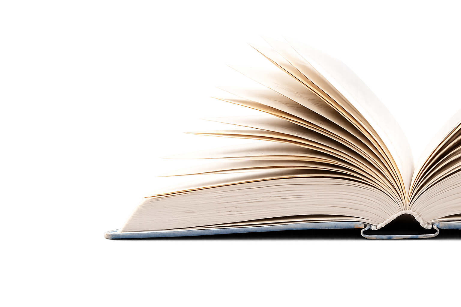 Image of a book fanned open