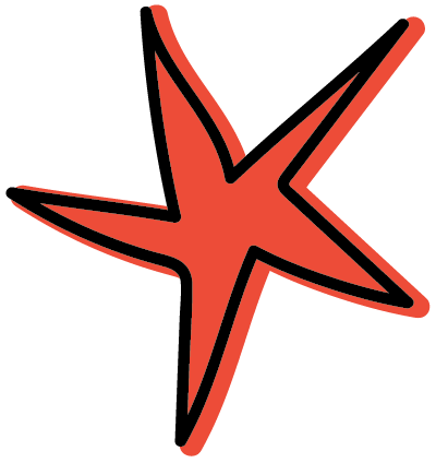 Red starfish with black outline on a black background.