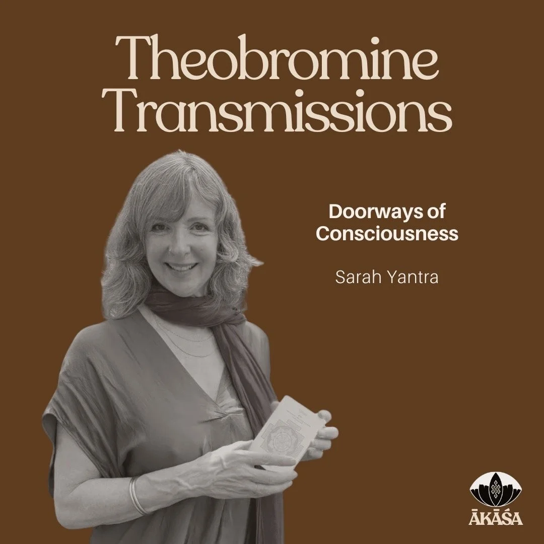 Book cover titled "Theobromine Transmissions" by Sarah Yantra, featuring a woman with curly hair holding a card or paper in front of a brown background with the logo of Akasa.