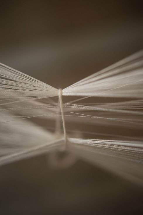 Close-up of an open book showing pages with a focus on the book's spine and pages fanned outward.